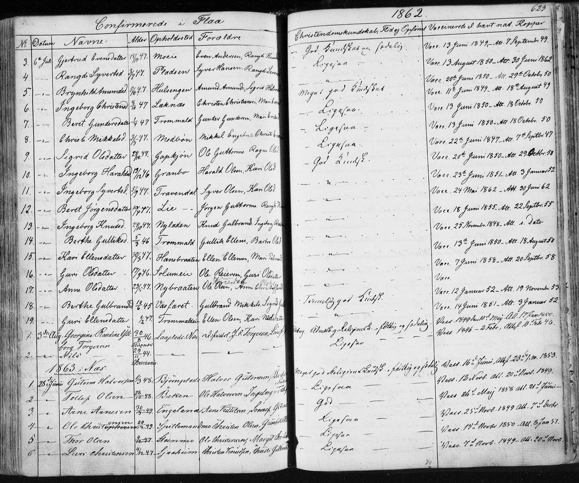 Nes kirkebøker, SAKO/A-236/F/Fa/L0009: Parish register (official) no. 9, 1834-1863, p. 623