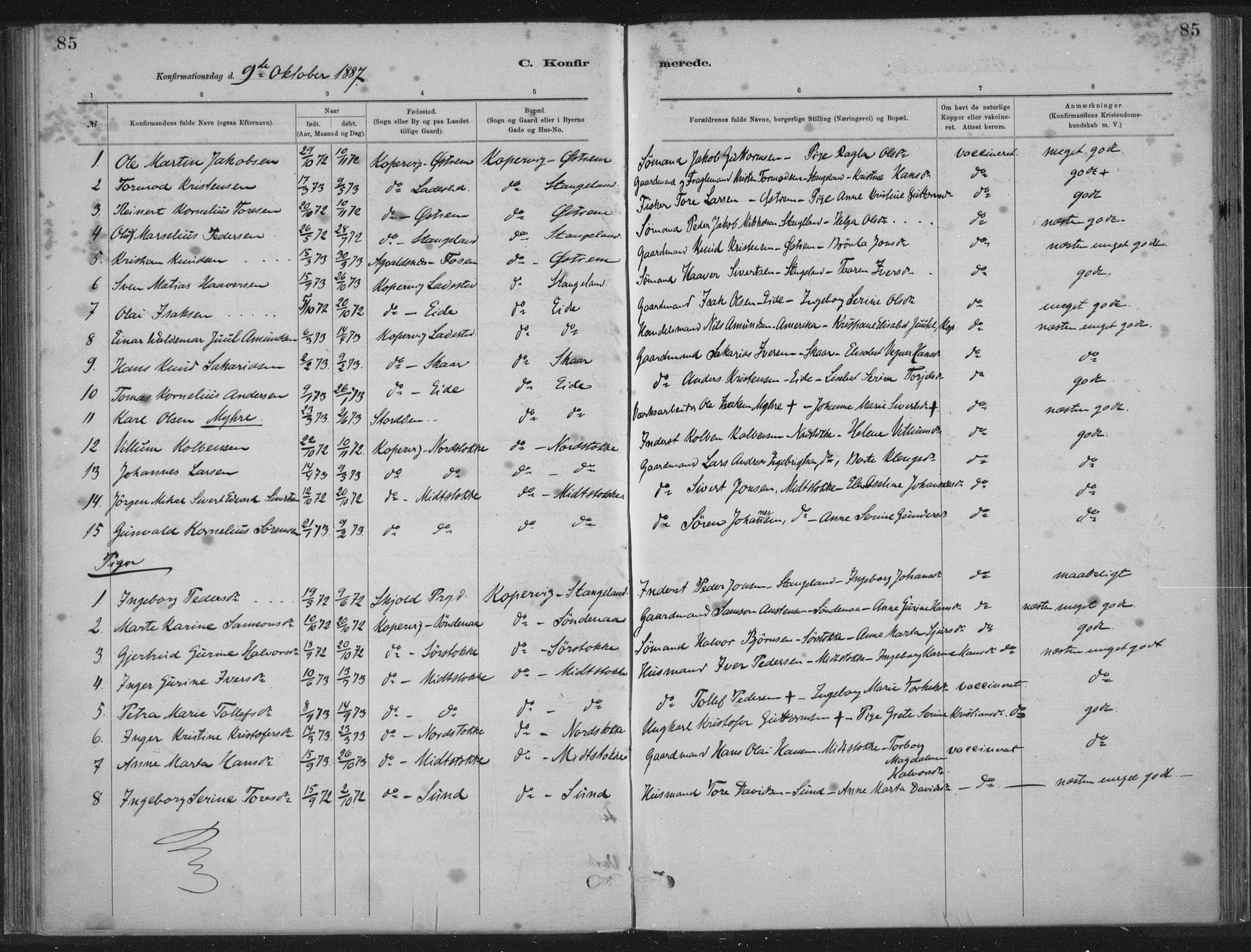 Kopervik sokneprestkontor, SAST/A-101850/H/Ha/Haa/L0002: Parish register (official) no. A 2, 1880-1912, p. 85