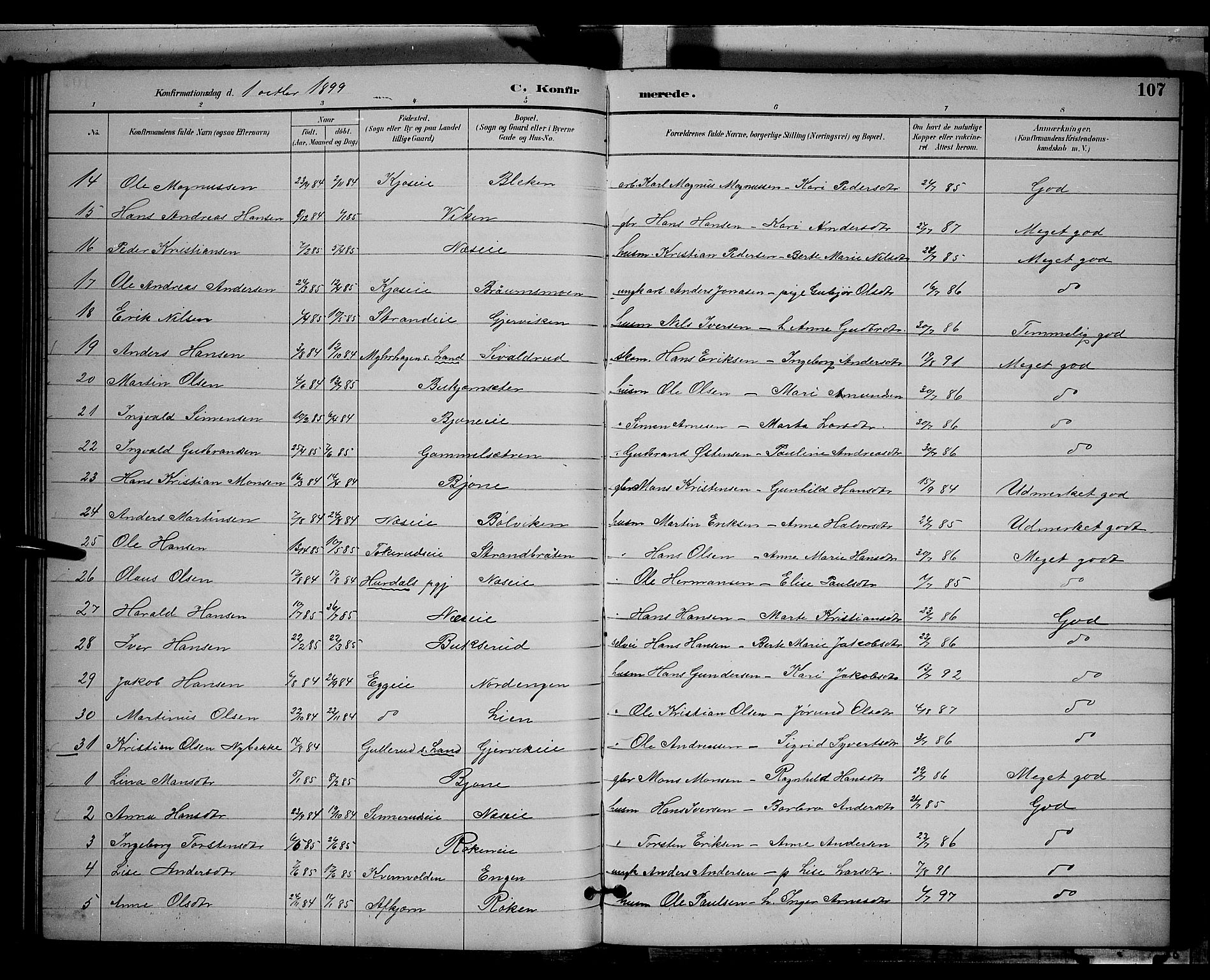 Gran prestekontor, SAH/PREST-112/H/Ha/Hab/L0004: Parish register (copy) no. 4, 1890-1899, p. 107