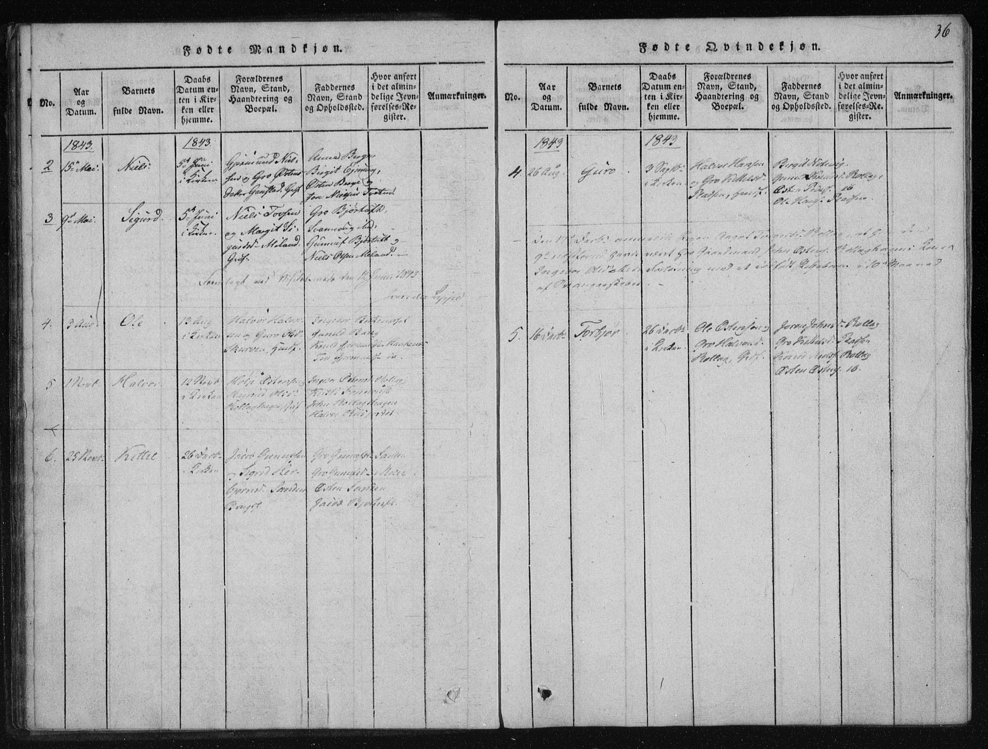 Tinn kirkebøker, AV/SAKO-A-308/F/Fb/L0001: Parish register (official) no. II 1, 1815-1843, p. 36