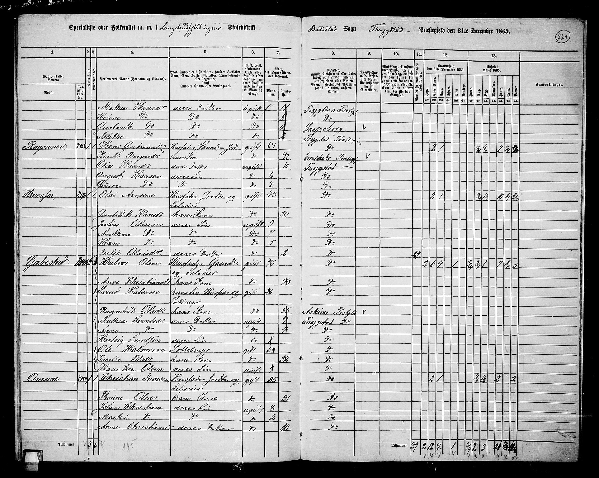 RA, 1865 census for Trøgstad, 1865, p. 195