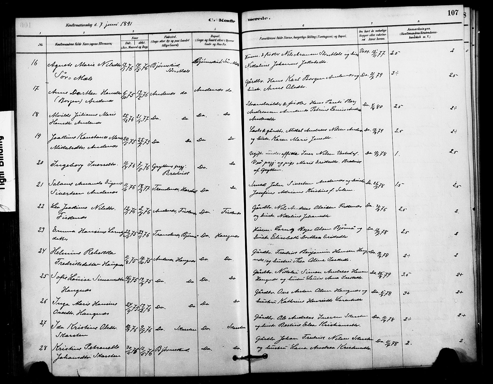 Ministerialprotokoller, klokkerbøker og fødselsregistre - Nordland, AV/SAT-A-1459/897/L1399: Parish register (official) no. 897C06, 1881-1896, p. 107