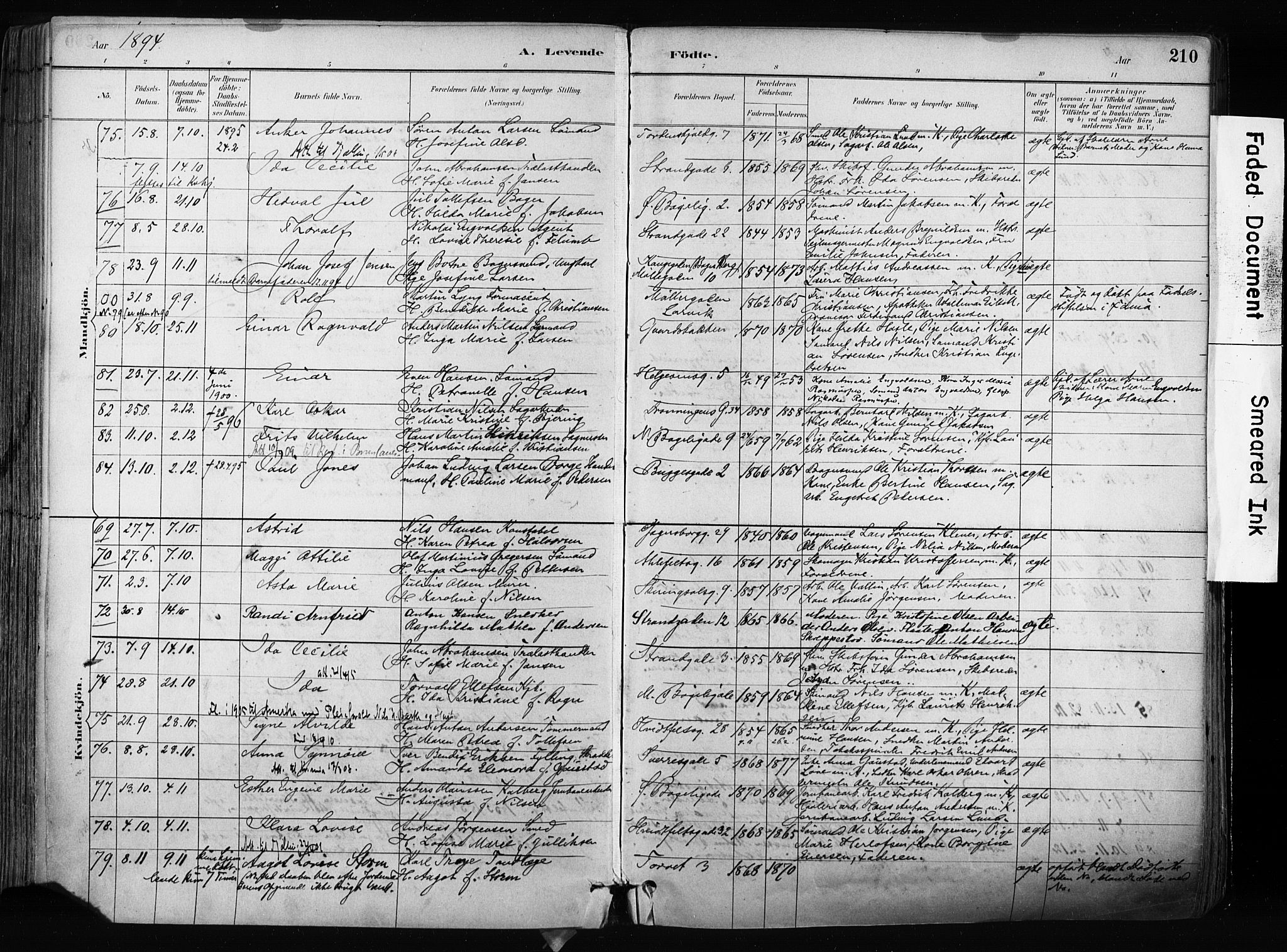 Larvik kirkebøker, AV/SAKO-A-352/F/Fa/L0009: Parish register (official) no. I 9, 1884-1904, p. 210