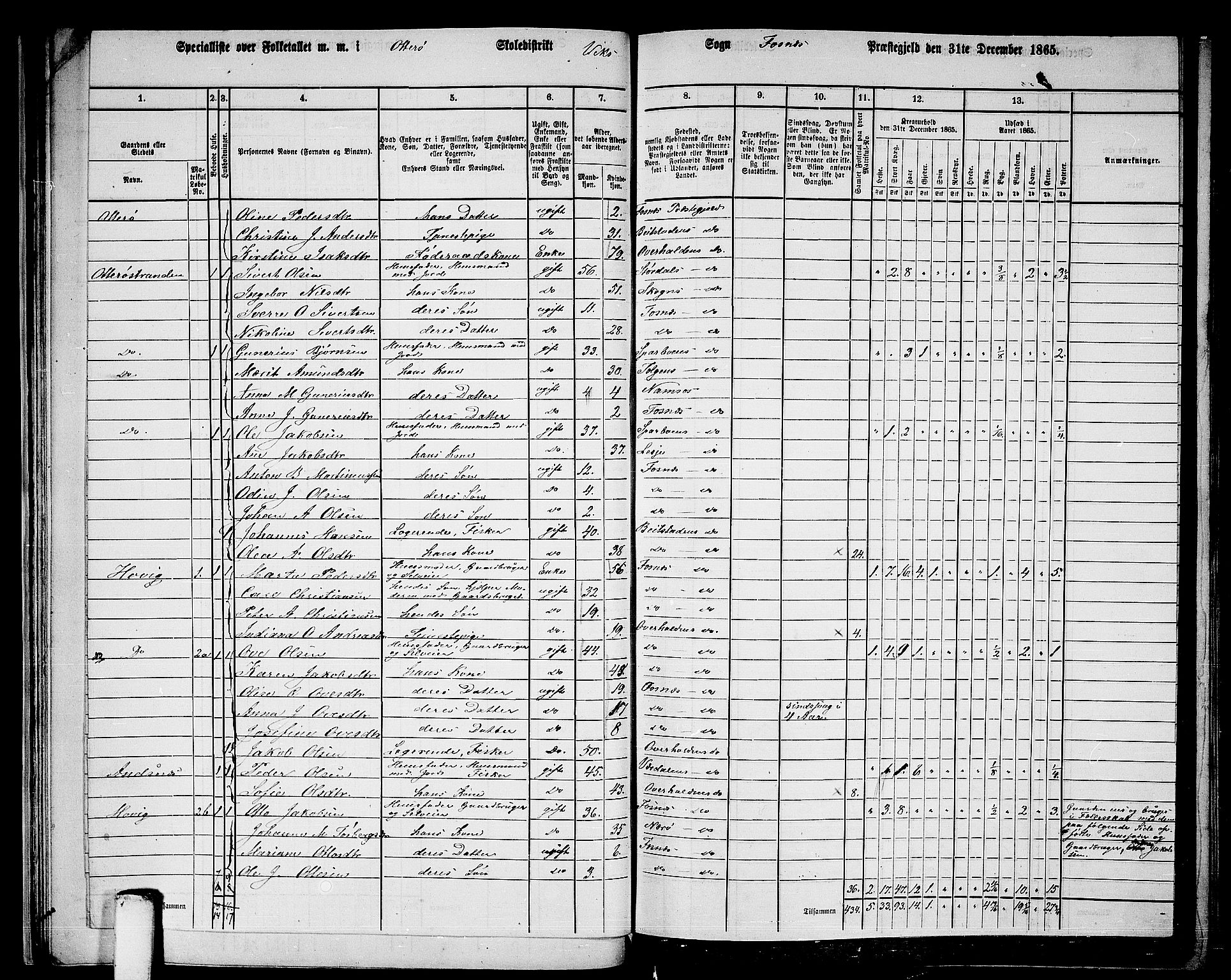 RA, 1865 census for Fosnes, 1865, p. 31