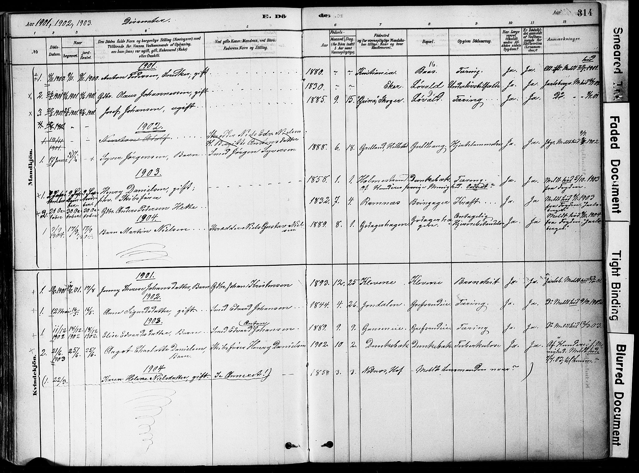Botne kirkebøker, AV/SAKO-A-340/F/Fa/L0007: Parish register (official) no. I 7, 1878-1910, p. 314