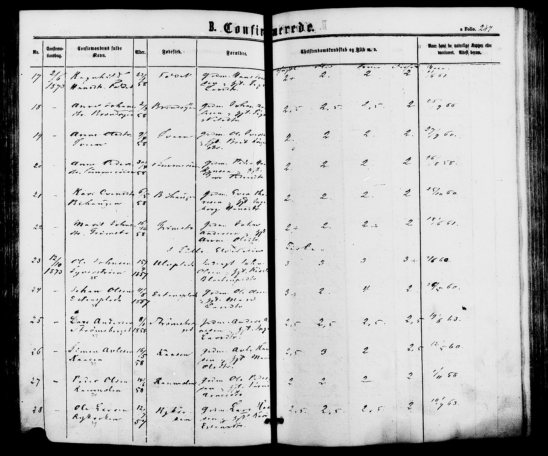 Alvdal prestekontor, SAH/PREST-060/H/Ha/Haa/L0001: Parish register (official) no. 1, 1863-1882, p. 247