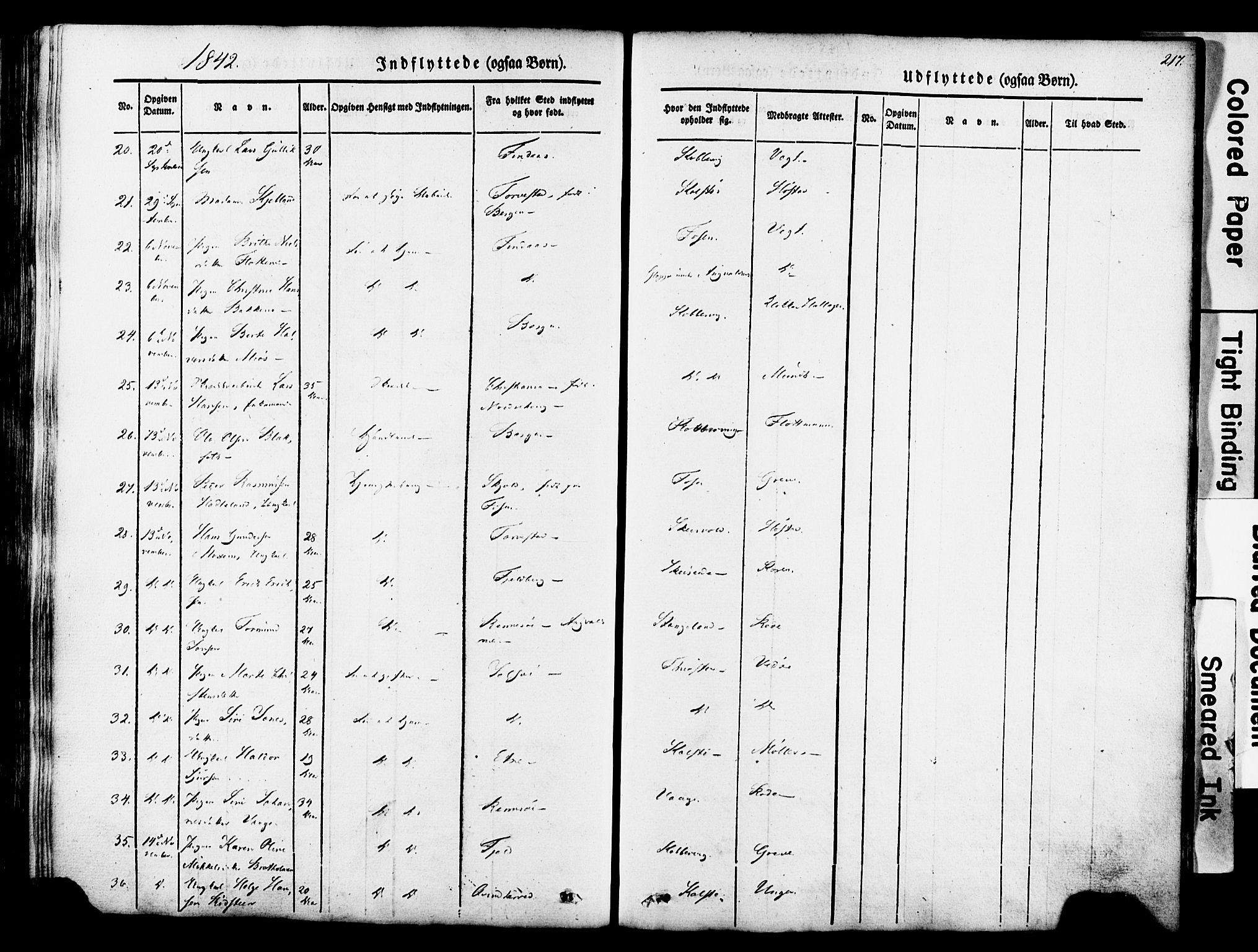 Avaldsnes sokneprestkontor, AV/SAST-A -101851/H/Ha/Haa/L0007: Parish register (official) no. A 7, 1841-1853, p. 217