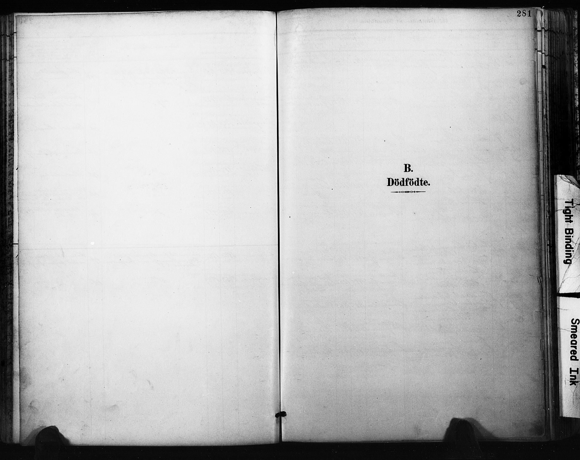 Bragernes kirkebøker, SAKO/A-6/F/Fb/L0007: Parish register (official) no. II 7, 1885-1893, p. 281