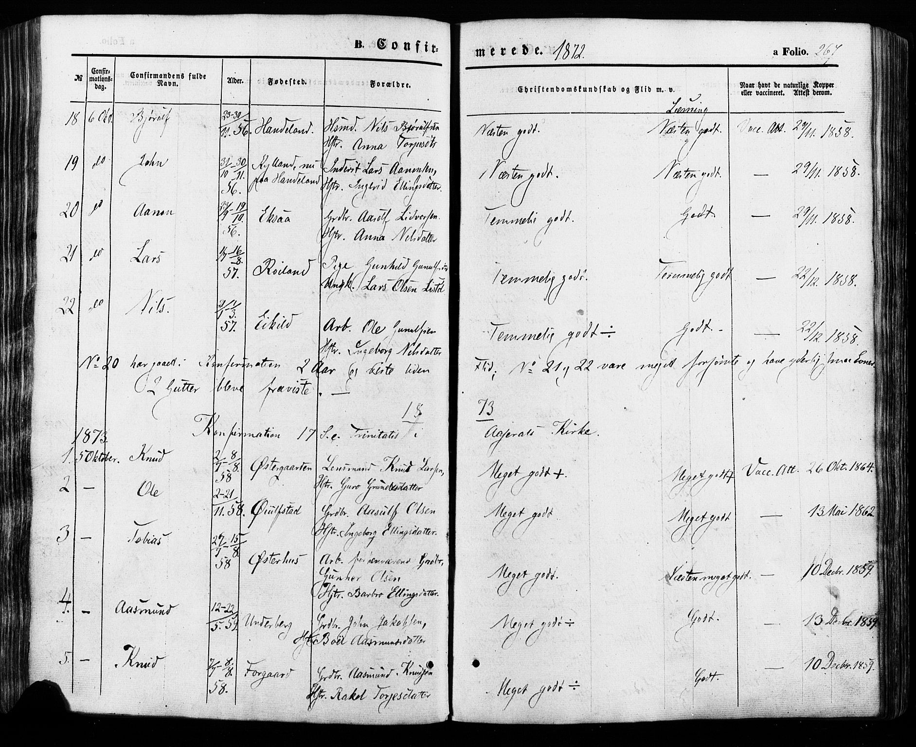 Åseral sokneprestkontor, SAK/1111-0051/F/Fa/L0002: Parish register (official) no. A 2, 1854-1884, p. 267