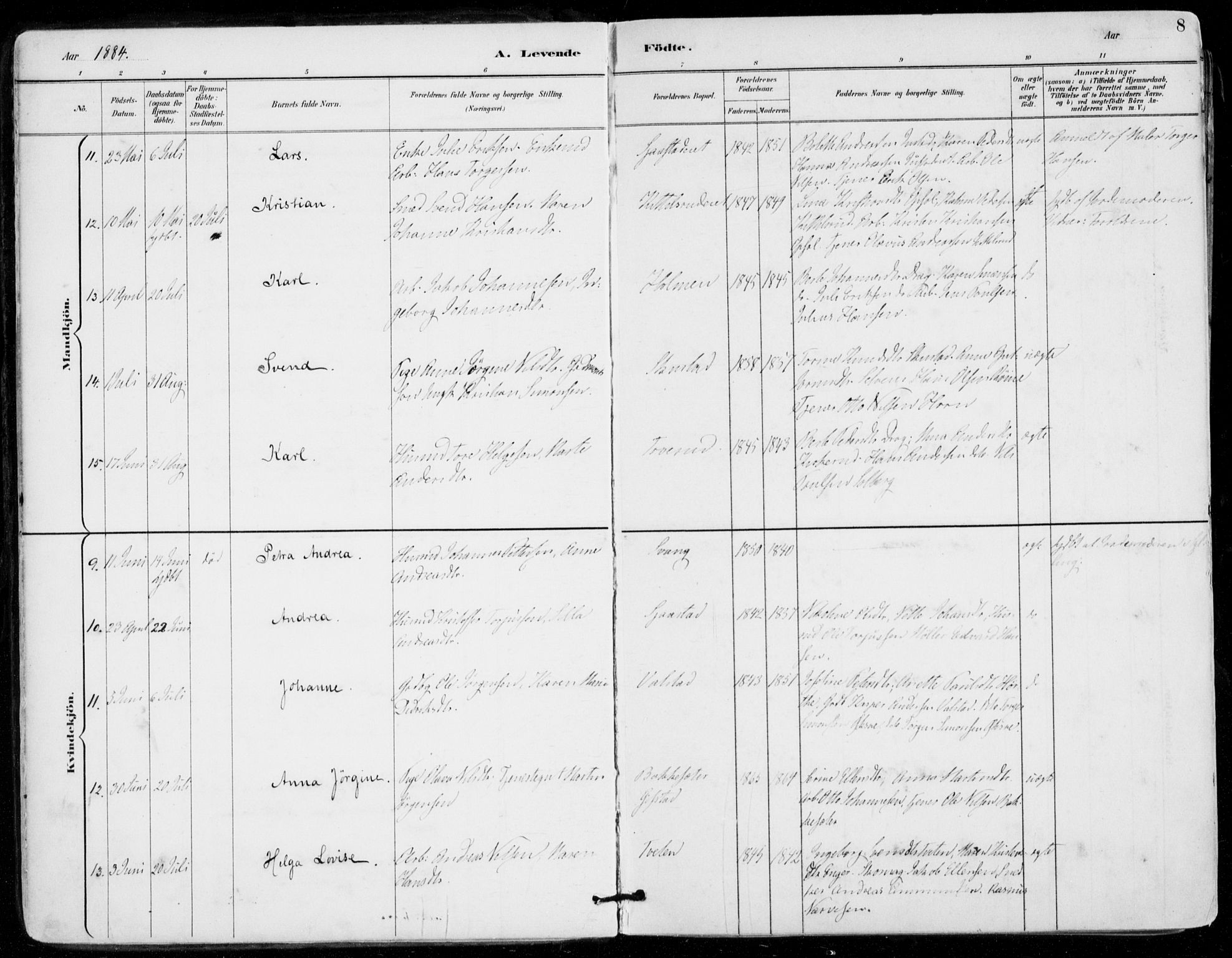 Sylling kirkebøker, AV/SAKO-A-247/F/Fa/L0001: Parish register (official) no. 1, 1883-1910, p. 8