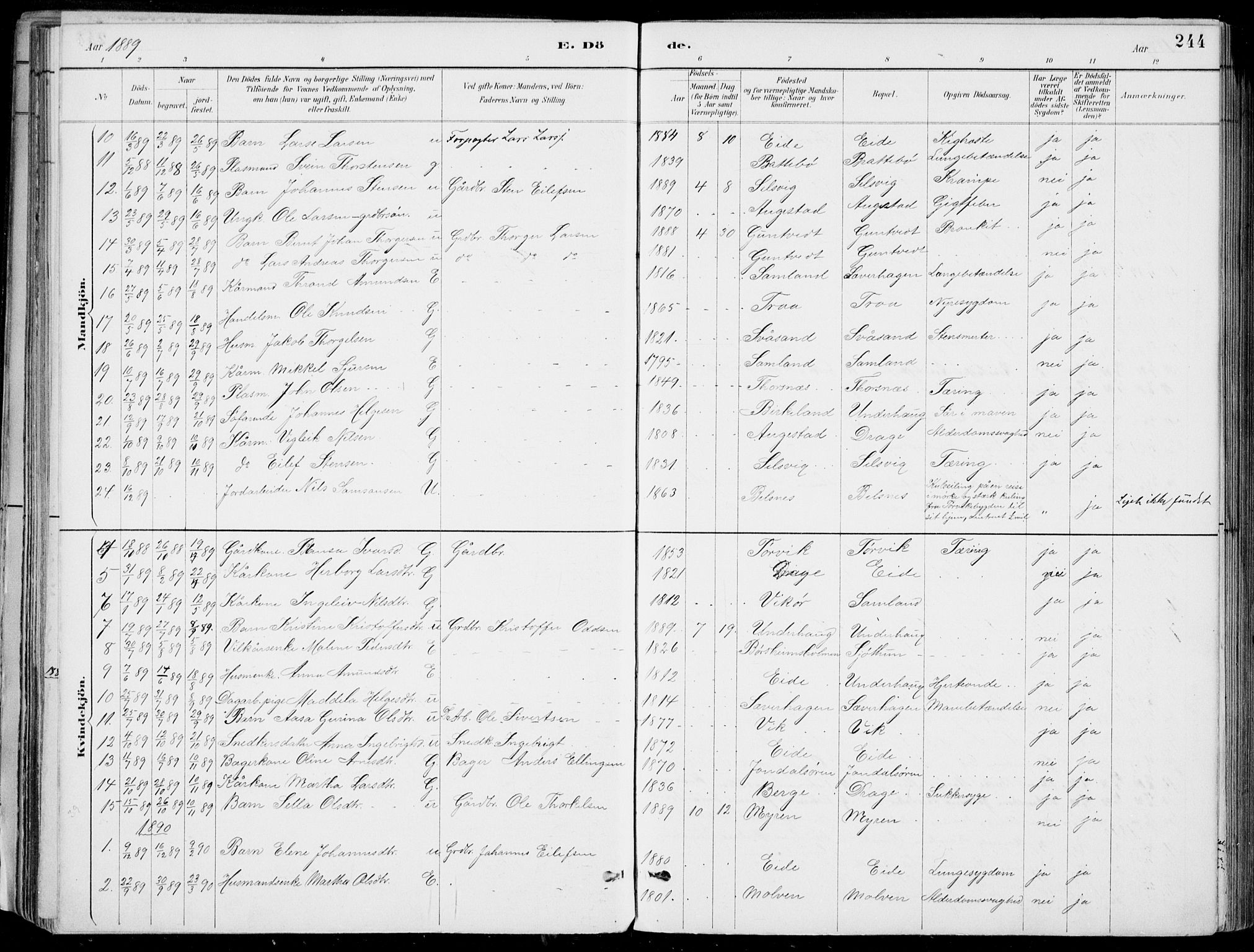 Strandebarm sokneprestembete, SAB/A-78401/H/Haa: Parish register (official) no. E  1, 1886-1908, p. 244