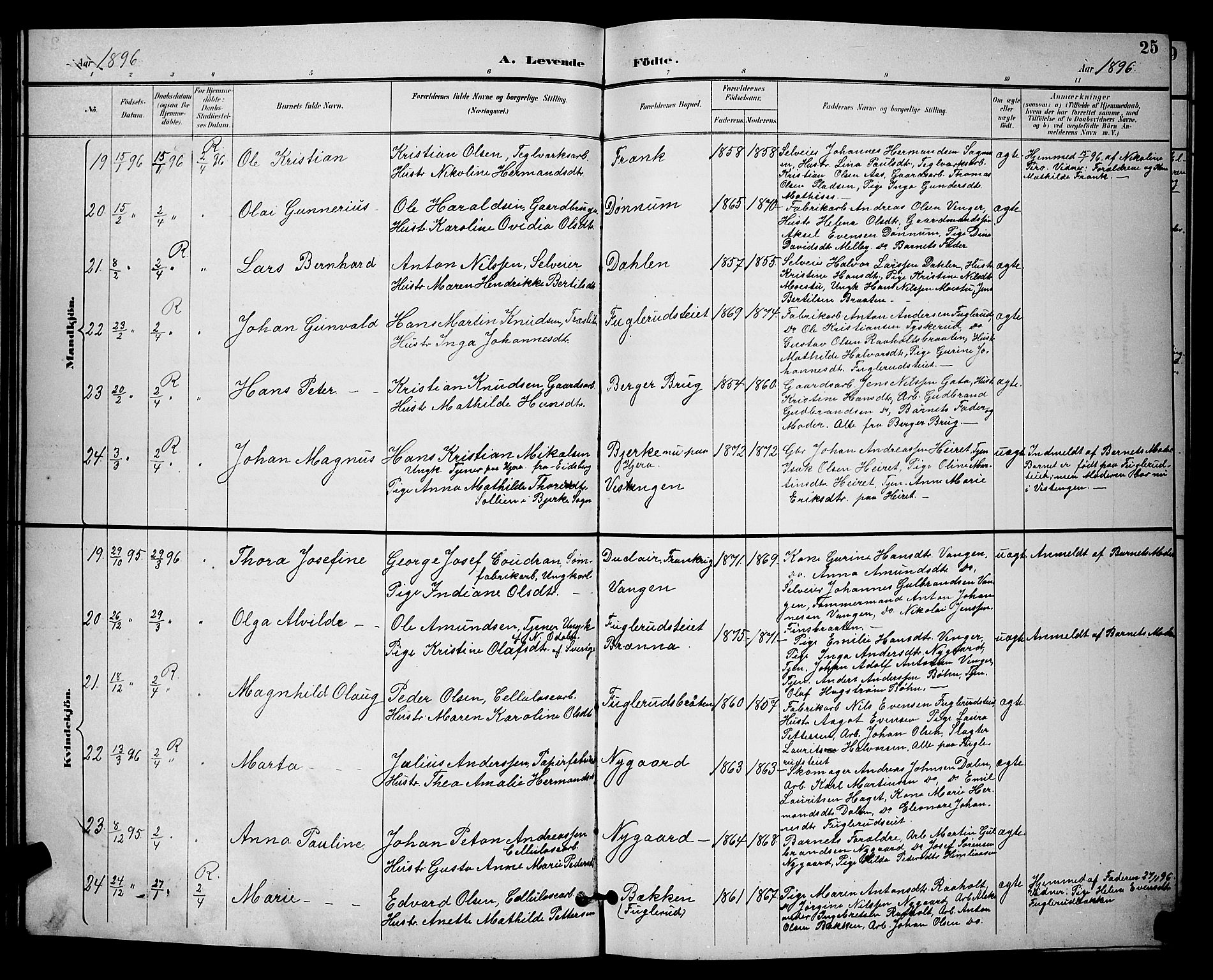 Eidsvoll prestekontor Kirkebøker, SAO/A-10888/G/Ga/L0006: Parish register (copy) no. I 6, 1895-1901, p. 25