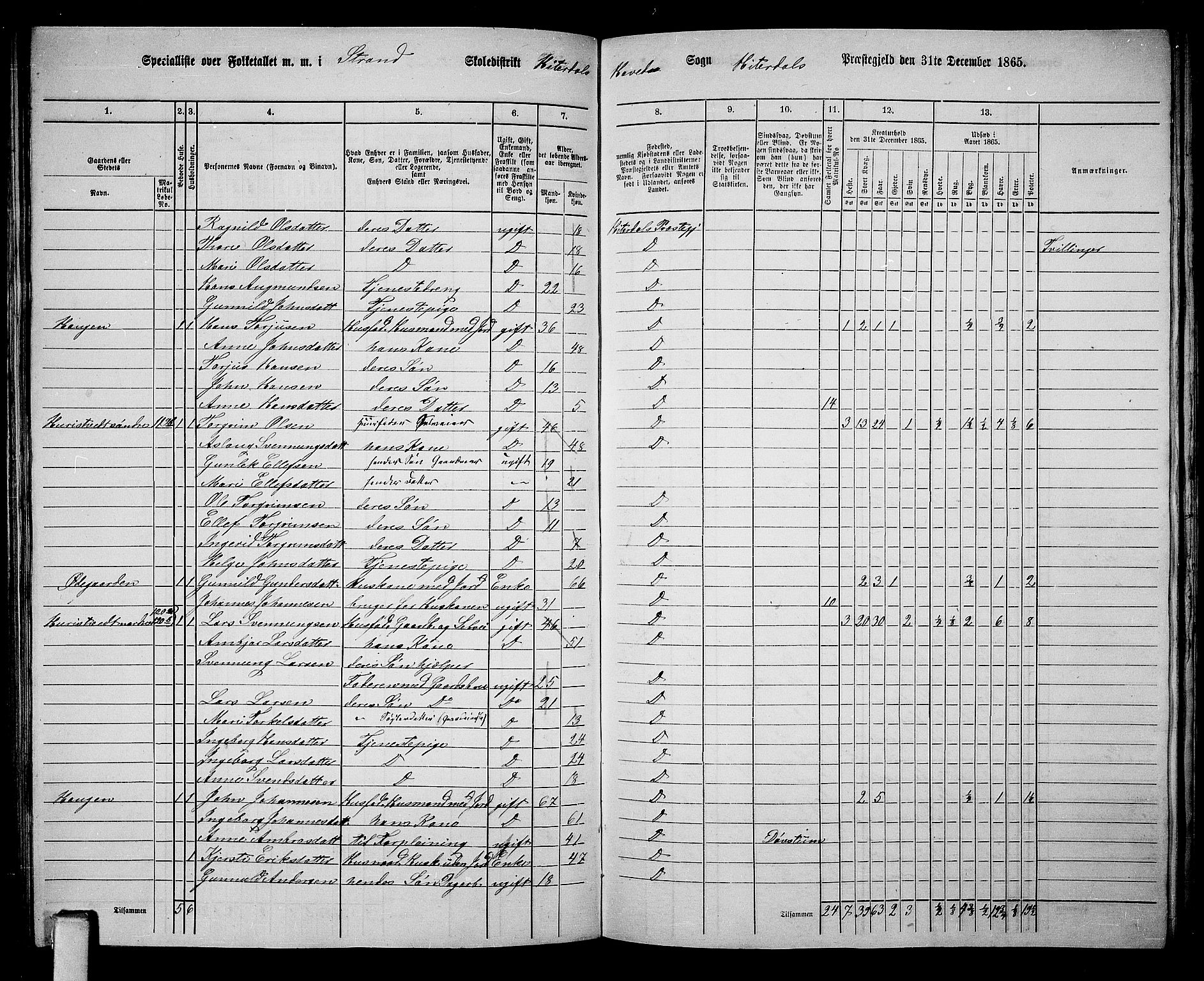 RA, 1865 census for Heddal, 1865, p. 104