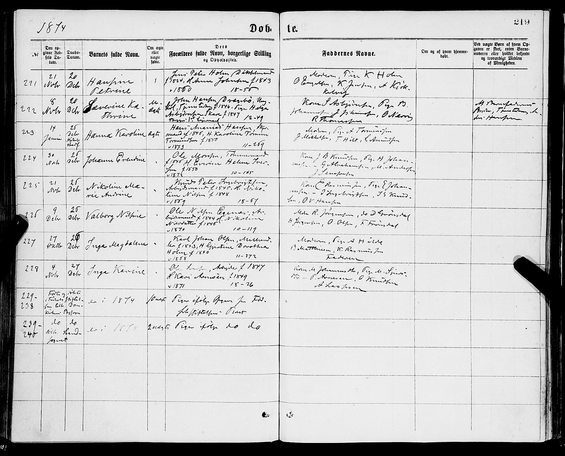 Domkirken sokneprestembete, AV/SAB-A-74801/H/Haa/L0022: Parish register (official) no. B 5, 1872-1878, p. 219