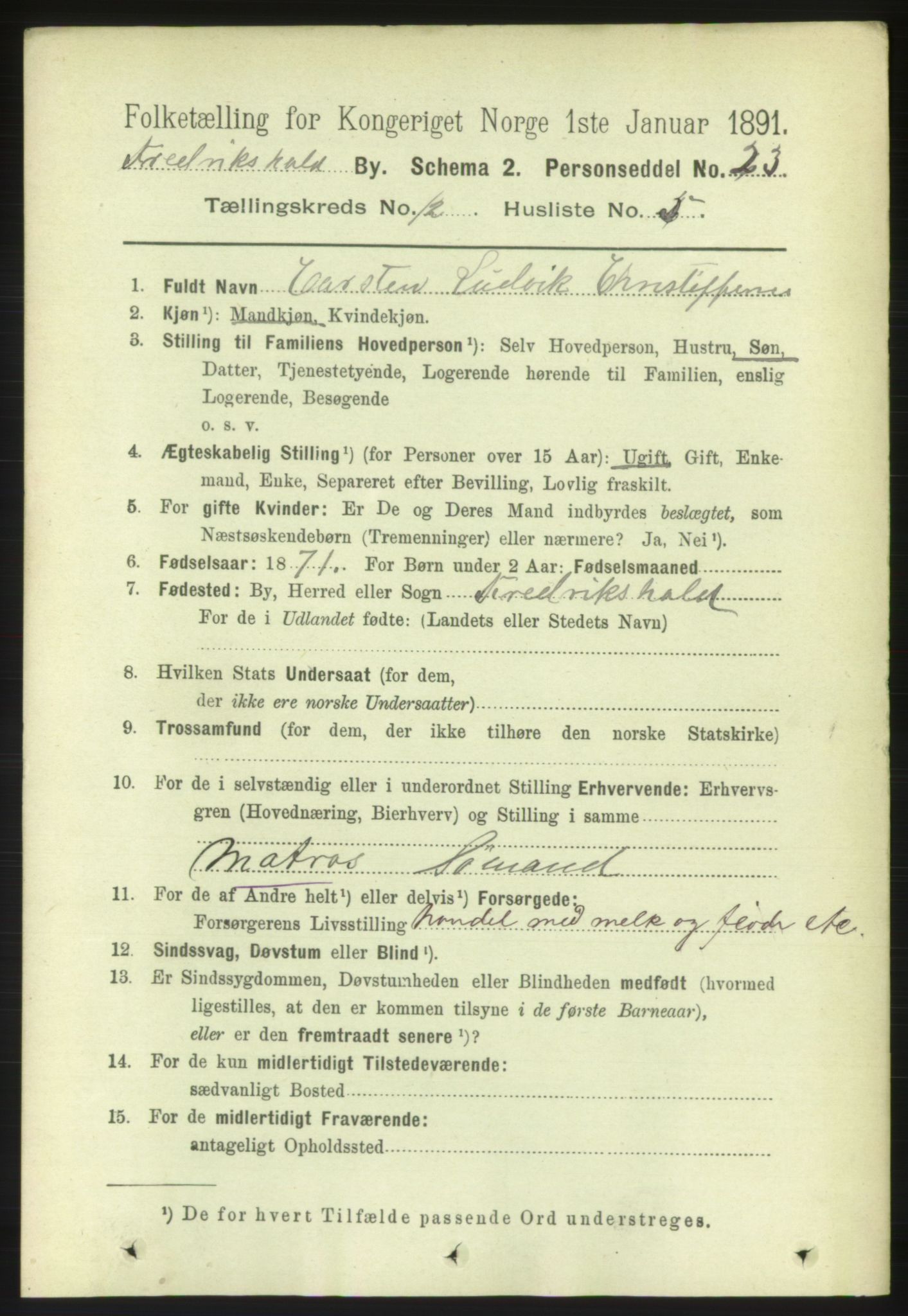 RA, 1891 census for 0101 Fredrikshald, 1891, p. 8388