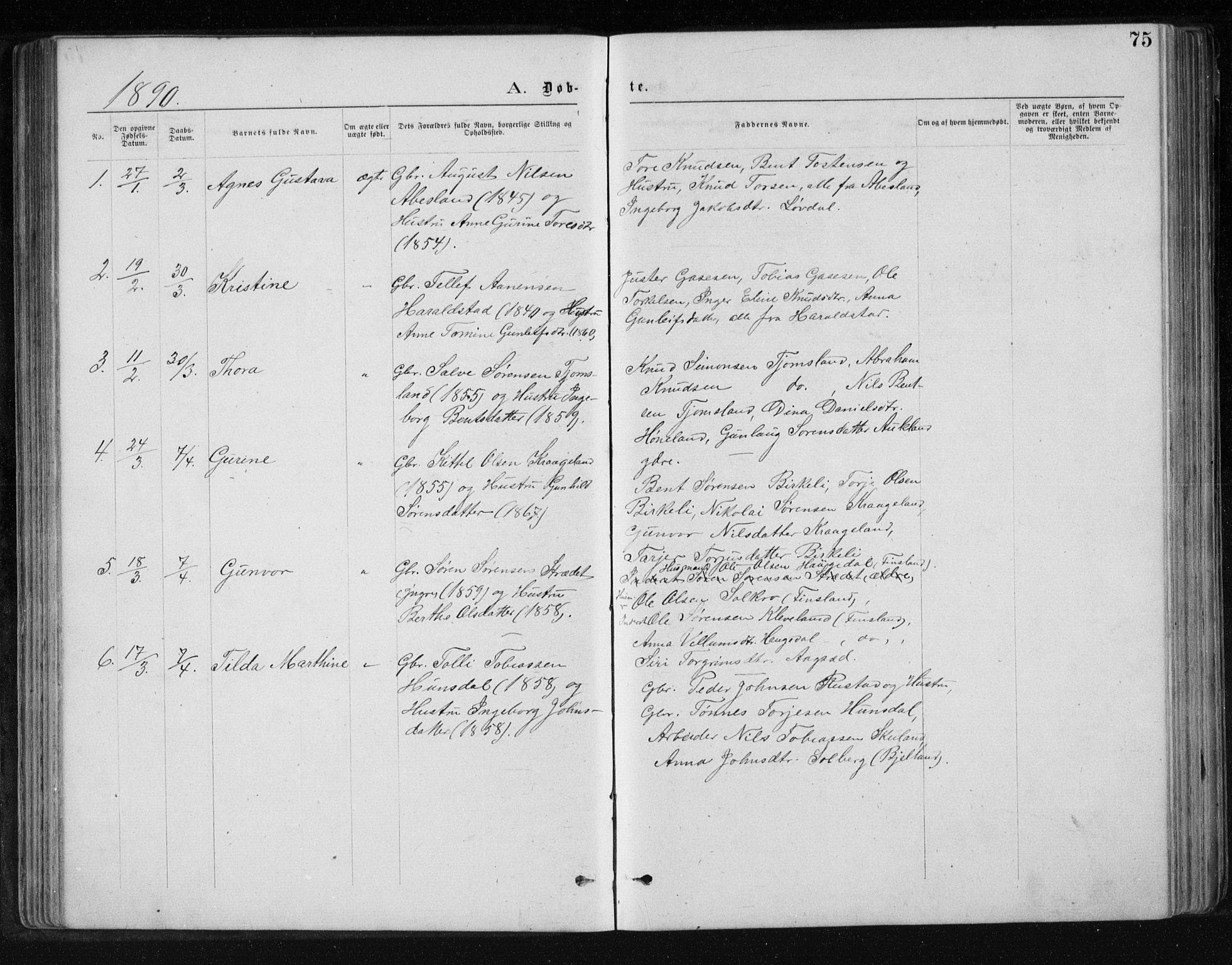 Holum sokneprestkontor, SAK/1111-0022/F/Fb/Fbb/L0003: Parish register (copy) no. B 3, 1875-1898, p. 75