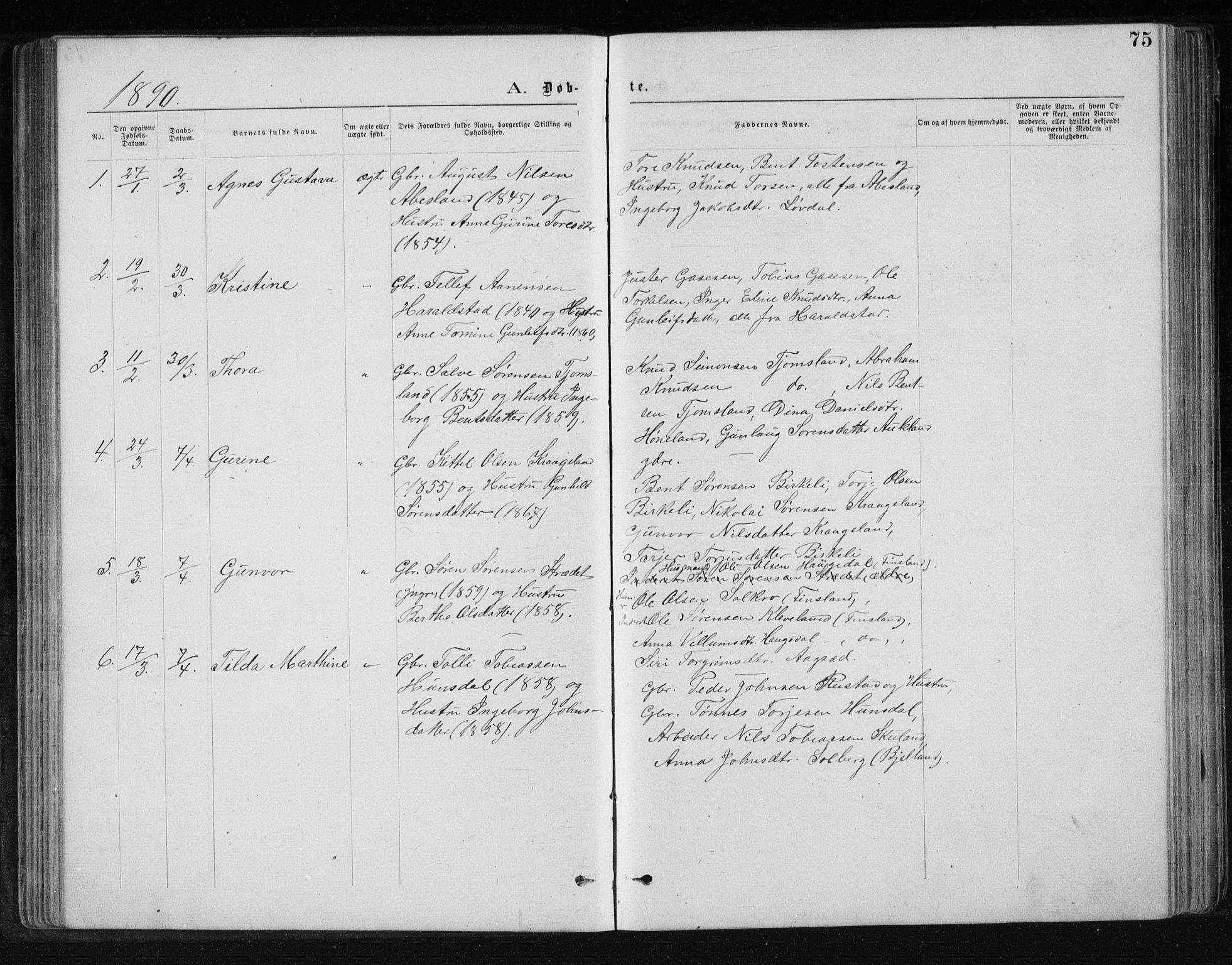 Holum sokneprestkontor, AV/SAK-1111-0022/F/Fb/Fbb/L0003: Parish register (copy) no. B 3, 1875-1898, p. 75