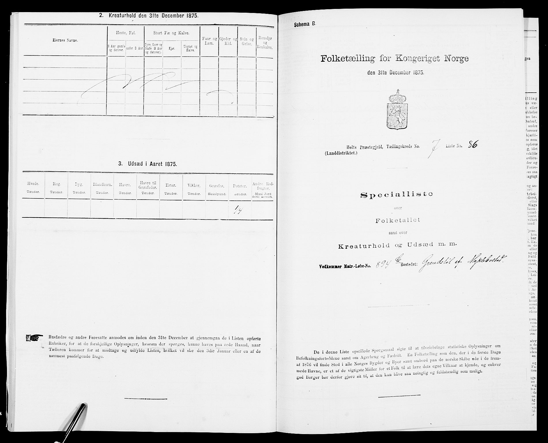 SAK, 1875 census for 0914L Holt/Holt, 1875, p. 953