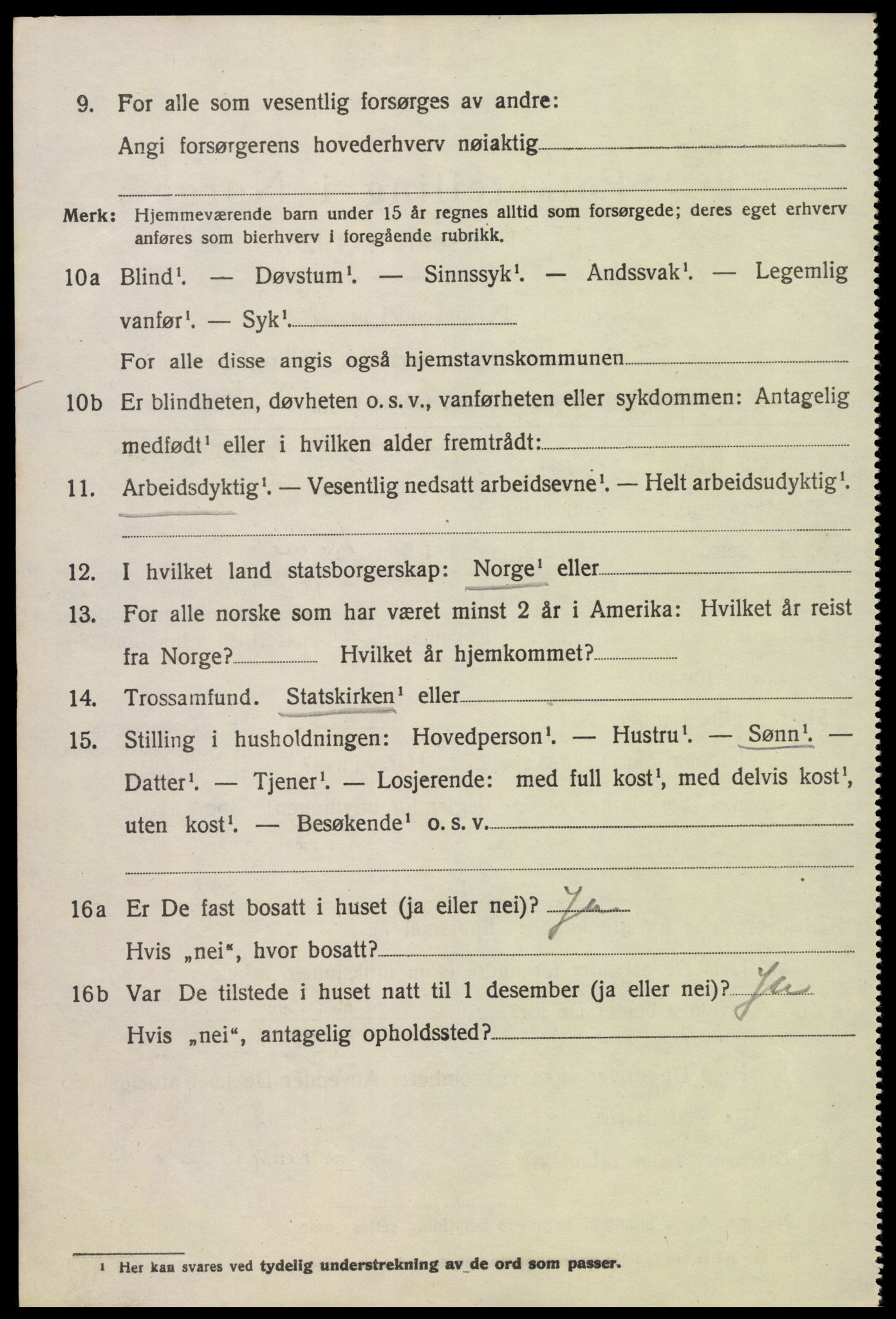 SAK, 1920 census for Hornnes, 1920, p. 2530