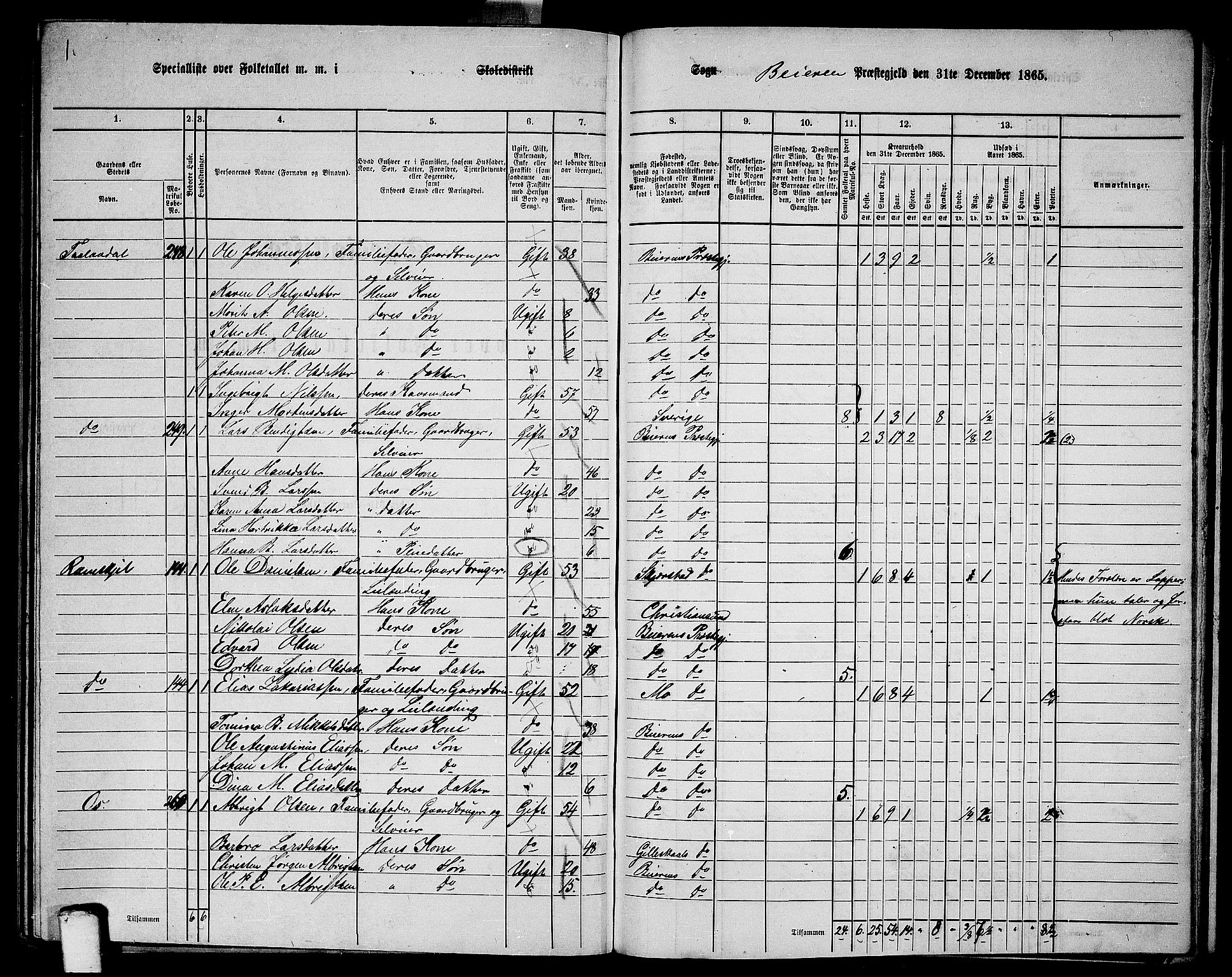 RA, 1865 census for Beiarn, 1865, p. 37