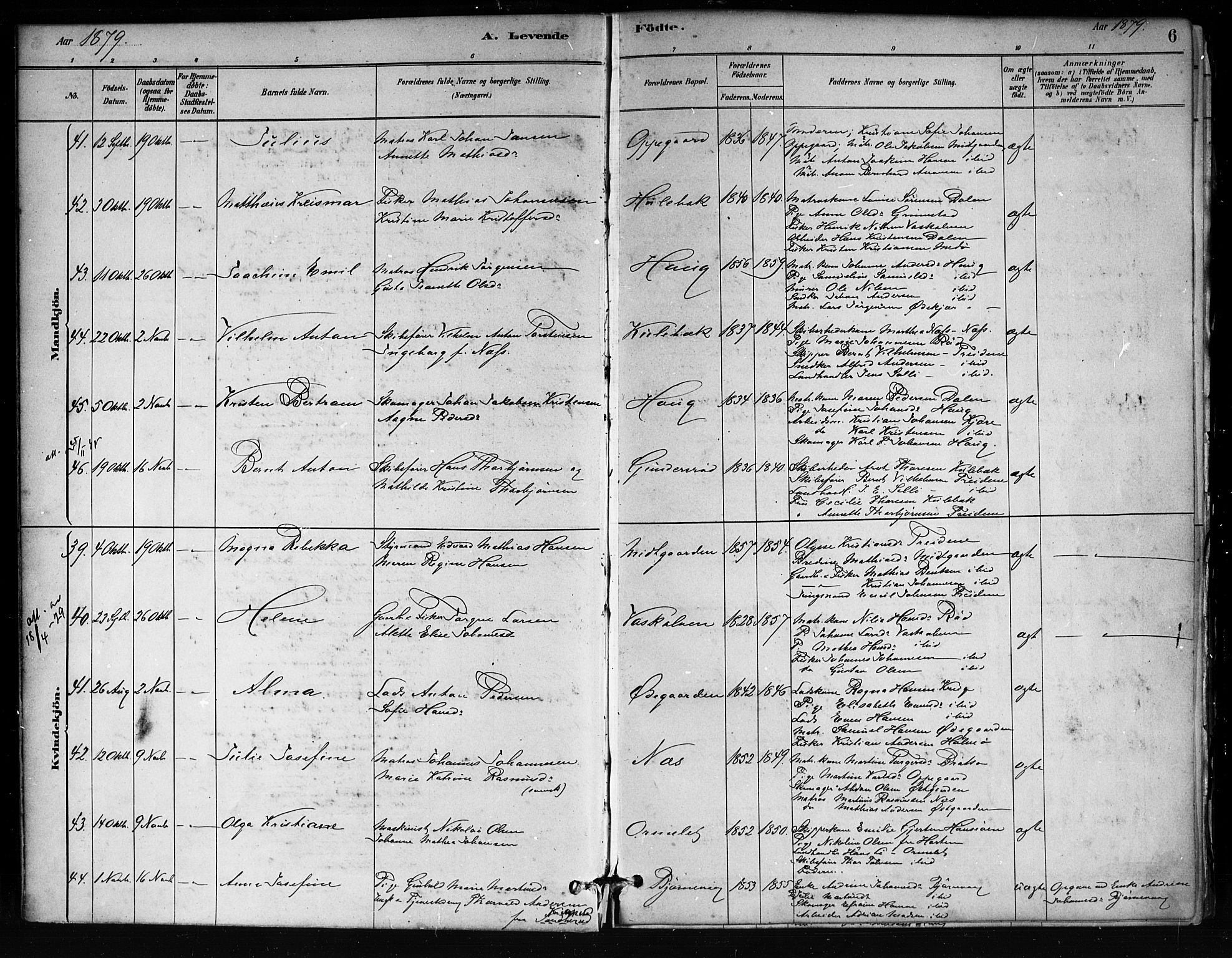 Tjøme kirkebøker, SAKO/A-328/F/Fa/L0001: Parish register (official) no. 1, 1879-1890, p. 6