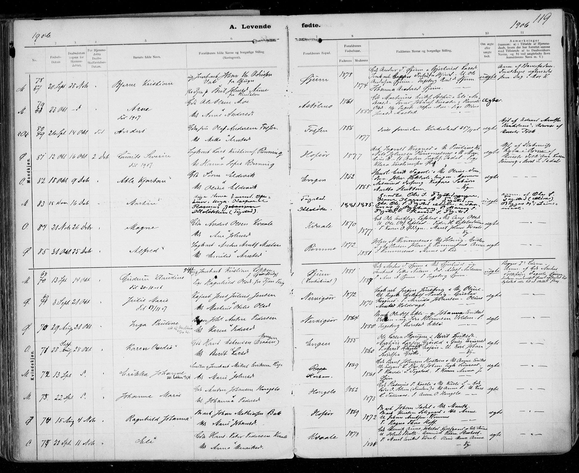 Ministerialprotokoller, klokkerbøker og fødselsregistre - Sør-Trøndelag, AV/SAT-A-1456/668/L0811: Parish register (official) no. 668A11, 1894-1913, p. 119