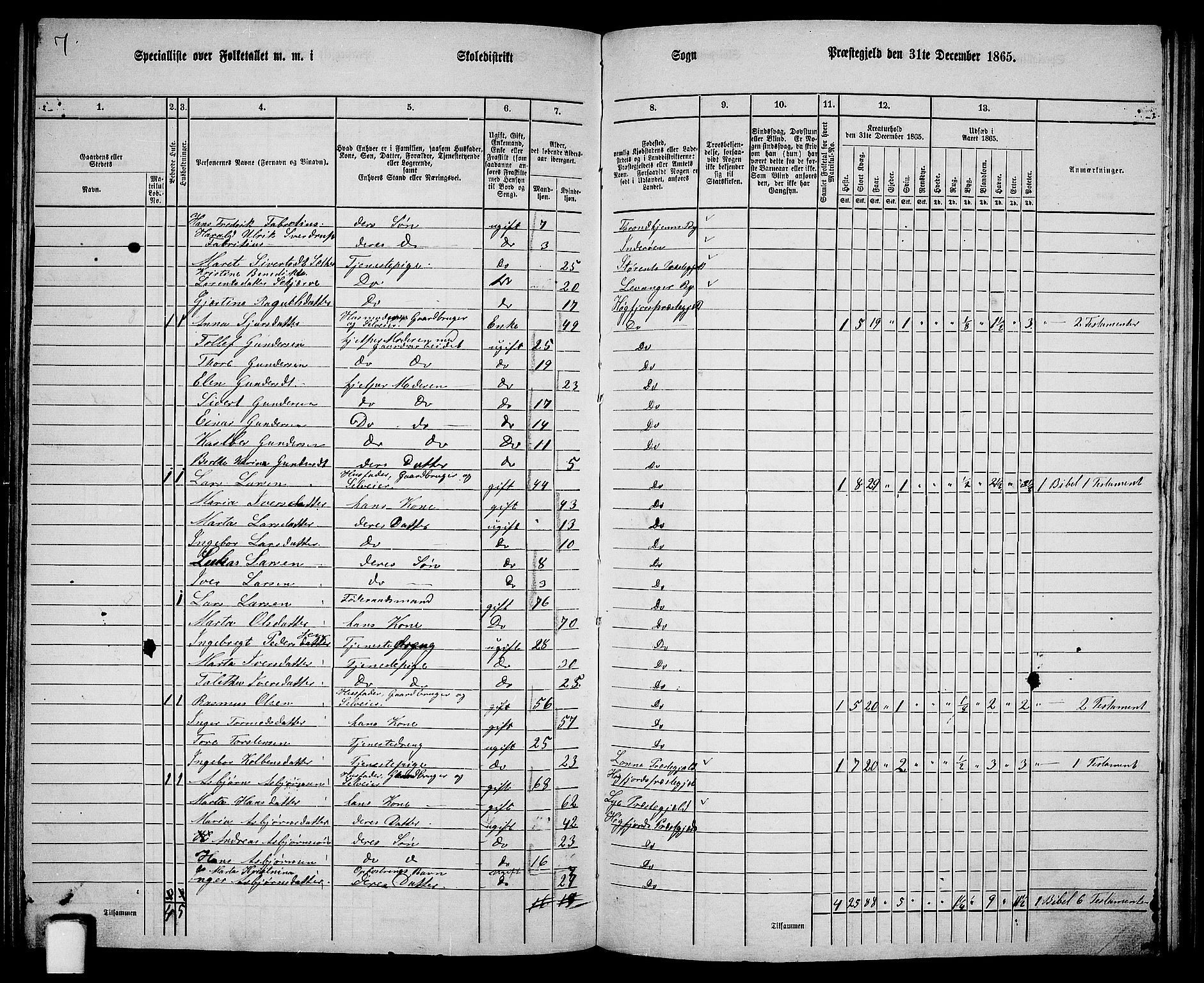 RA, 1865 census for Høgsfjord, 1865, p. 104