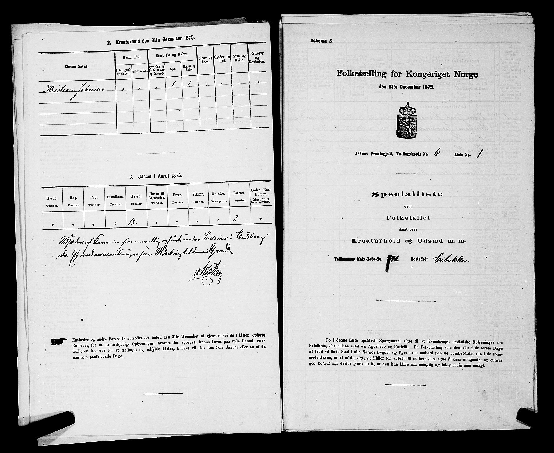 RA, 1875 census for 0124P Askim, 1875, p. 369