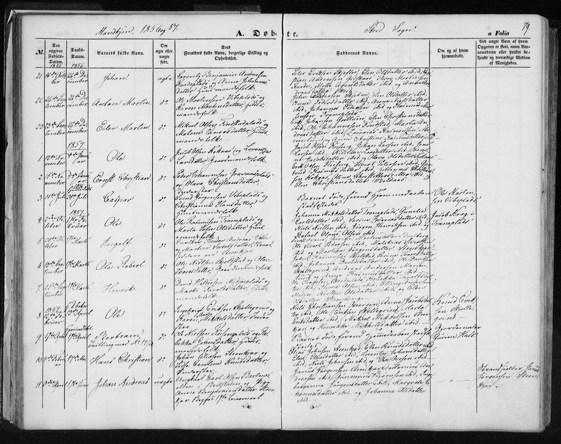 Ministerialprotokoller, klokkerbøker og fødselsregistre - Nord-Trøndelag, SAT/A-1458/735/L0342: Parish register (official) no. 735A07 /2, 1849-1862, p. 79