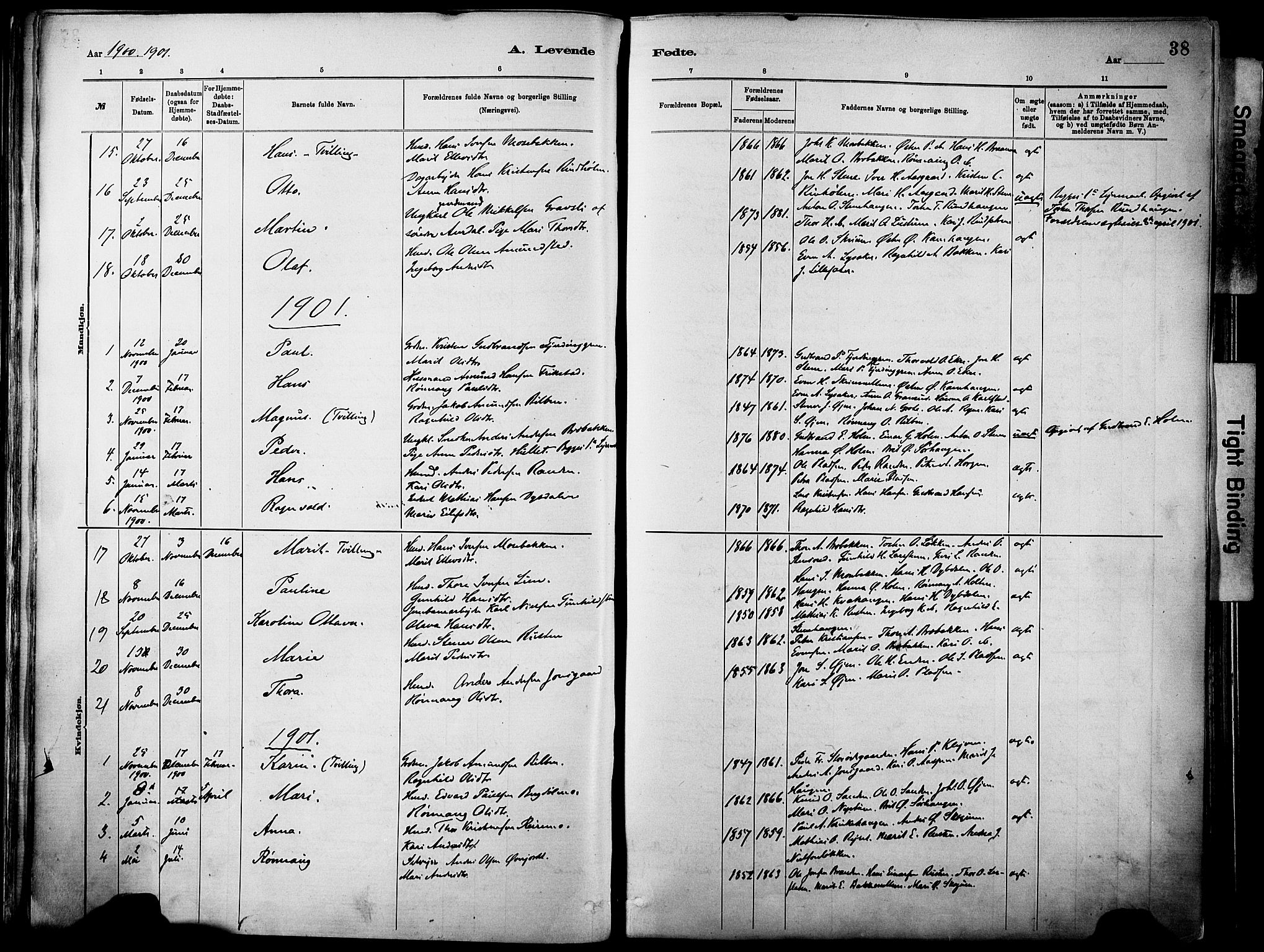 Vågå prestekontor, SAH/PREST-076/H/Ha/Haa/L0010: Parish register (official) no. 10, 1887-1904, p. 38
