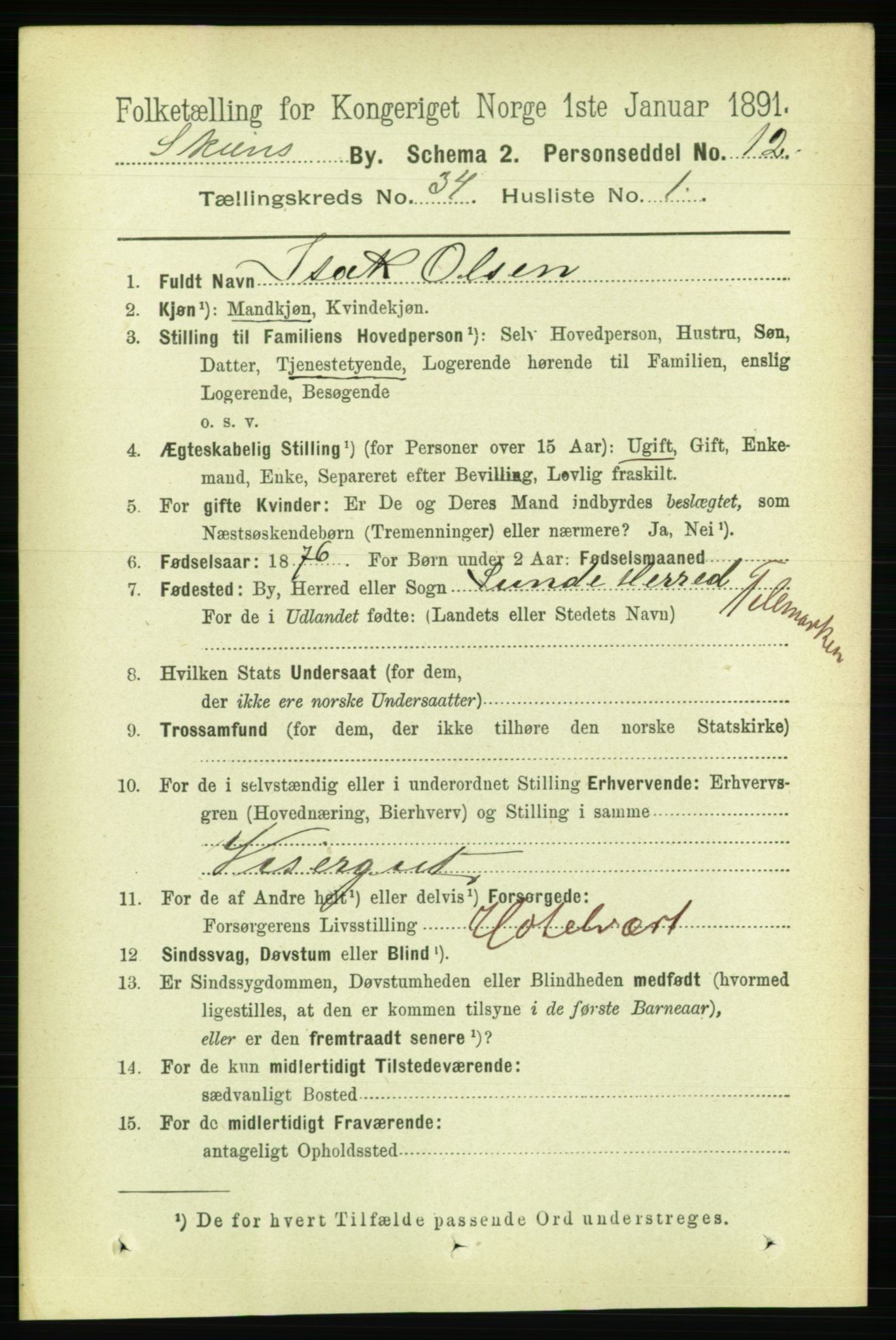 RA, 1891 census for 0806 Skien, 1891, p. 7719