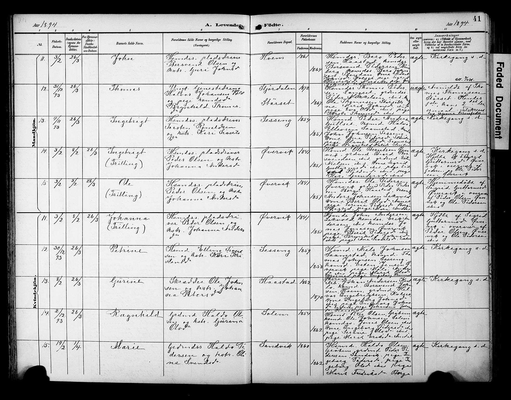 Ministerialprotokoller, klokkerbøker og fødselsregistre - Sør-Trøndelag, AV/SAT-A-1456/695/L1149: Parish register (official) no. 695A09, 1891-1902, p. 41