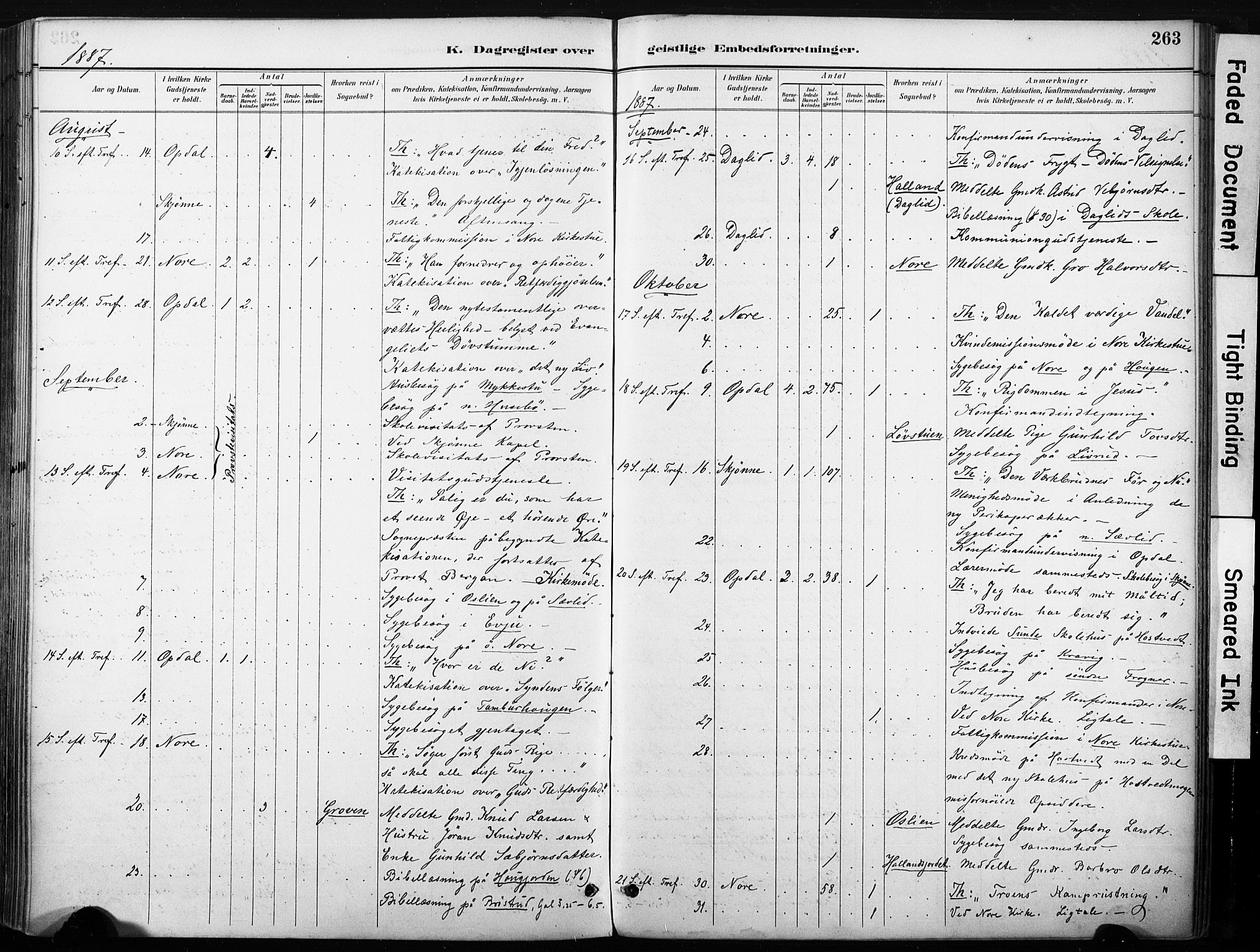 Nore kirkebøker, AV/SAKO-A-238/F/Fb/L0002: Parish register (official) no. II 2, 1886-1906, p. 263