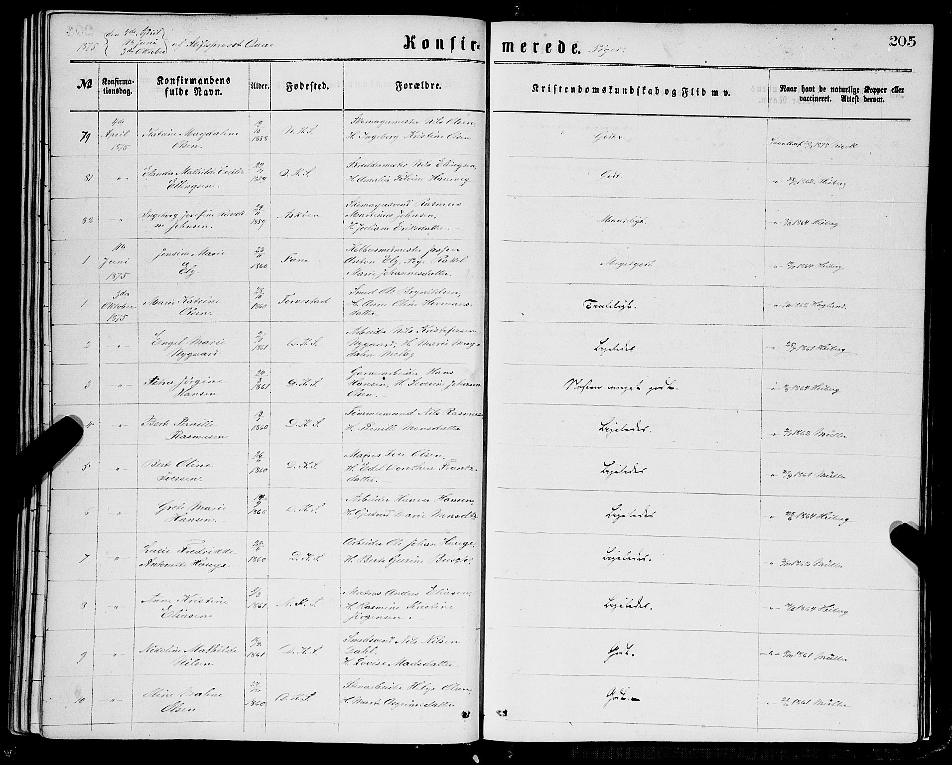 Domkirken sokneprestembete, AV/SAB-A-74801/H/Haa/L0029: Parish register (official) no. C 4, 1864-1879, p. 205