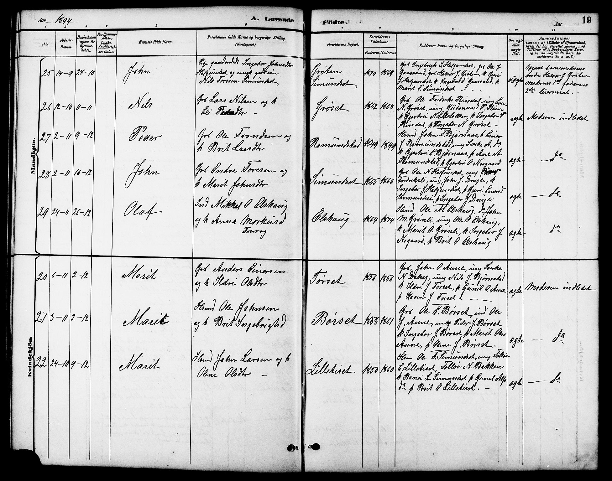 Ministerialprotokoller, klokkerbøker og fødselsregistre - Møre og Romsdal, SAT/A-1454/598/L1078: Parish register (copy) no. 598C03, 1892-1909, p. 19