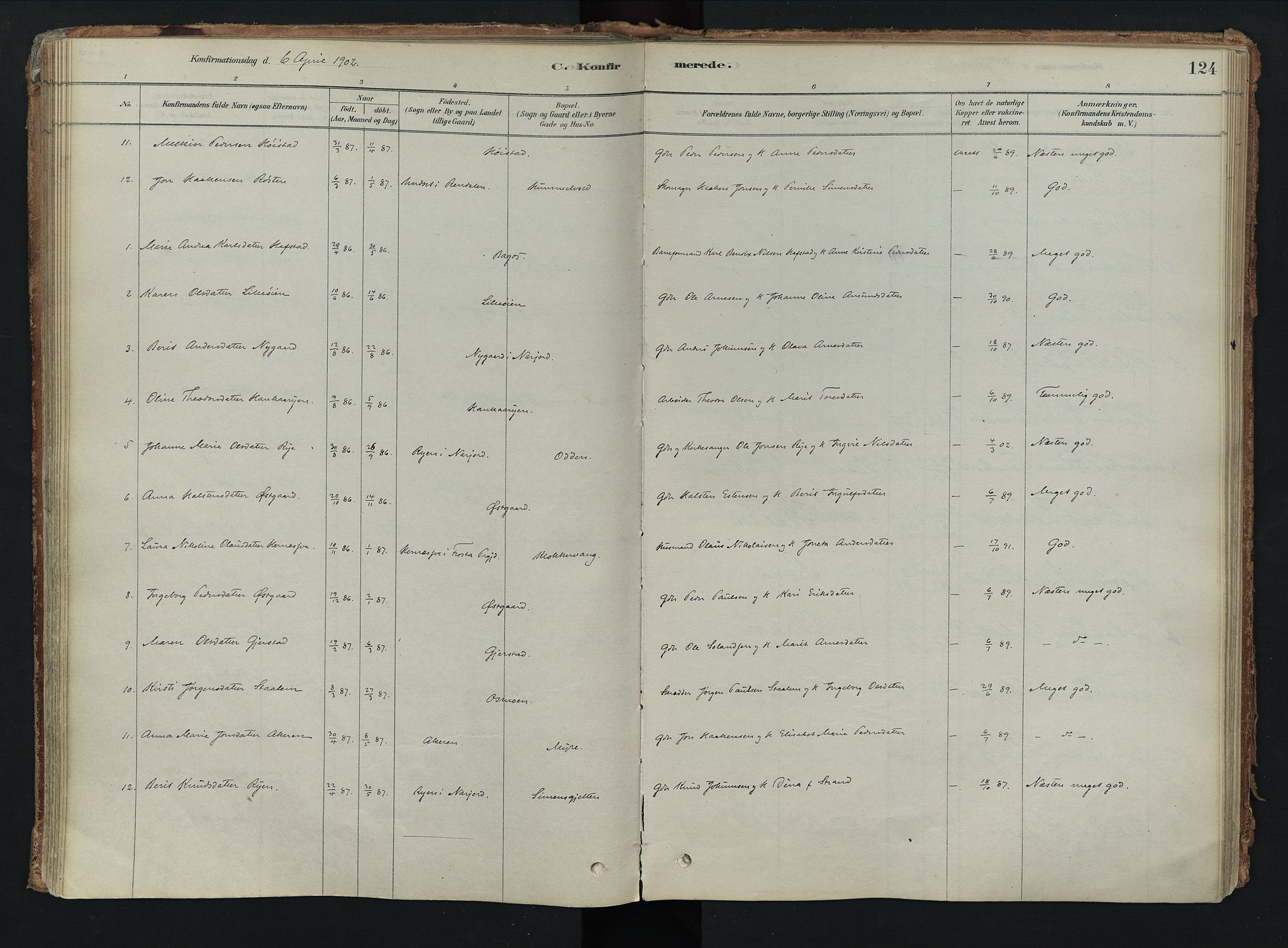 Tolga prestekontor, AV/SAH-PREST-062/K/L0008: Parish register (official) no. 8, 1877-1910, p. 124