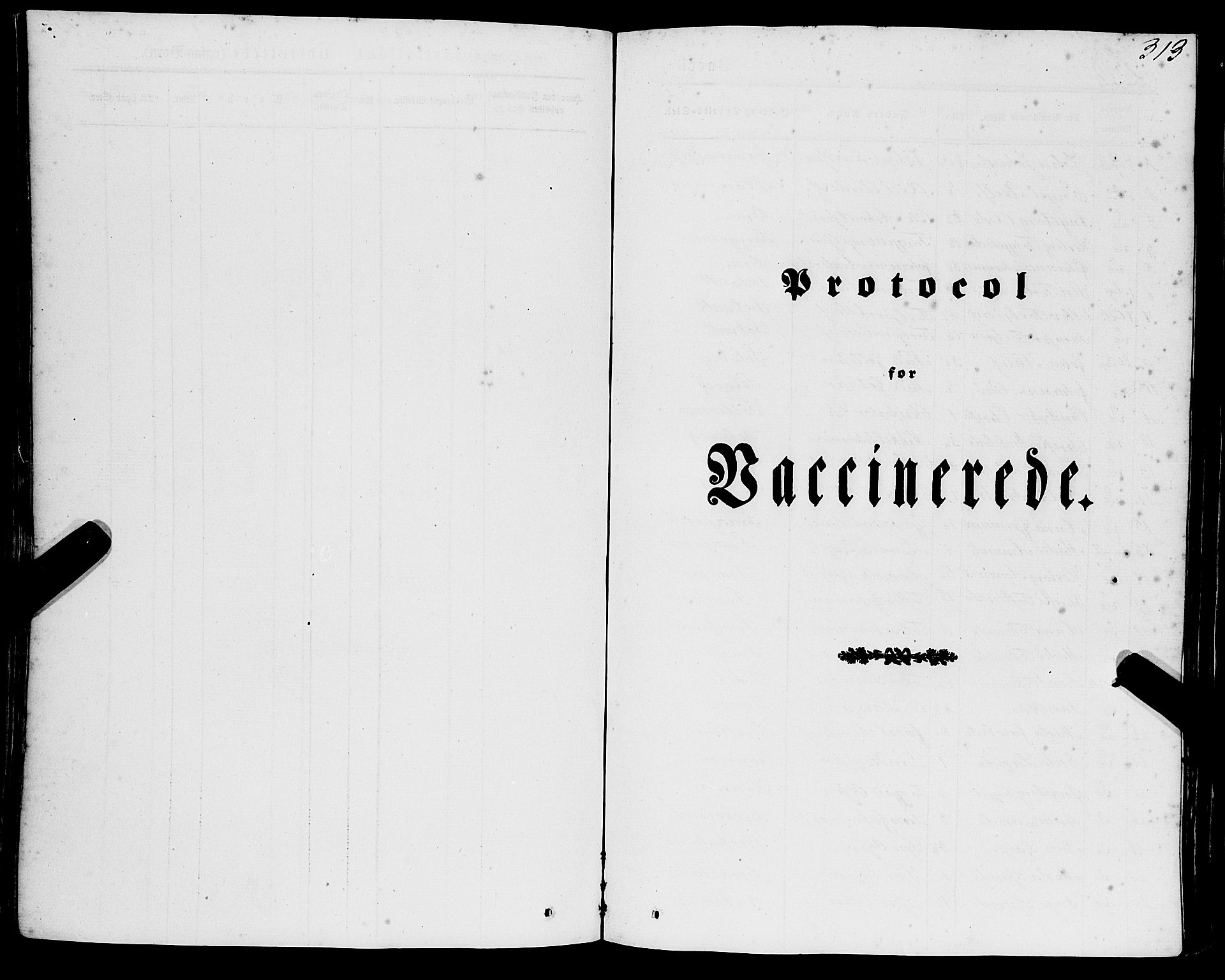 Strandebarm sokneprestembete, SAB/A-78401/H/Haa: Parish register (official) no. A 7, 1844-1872, p. 313