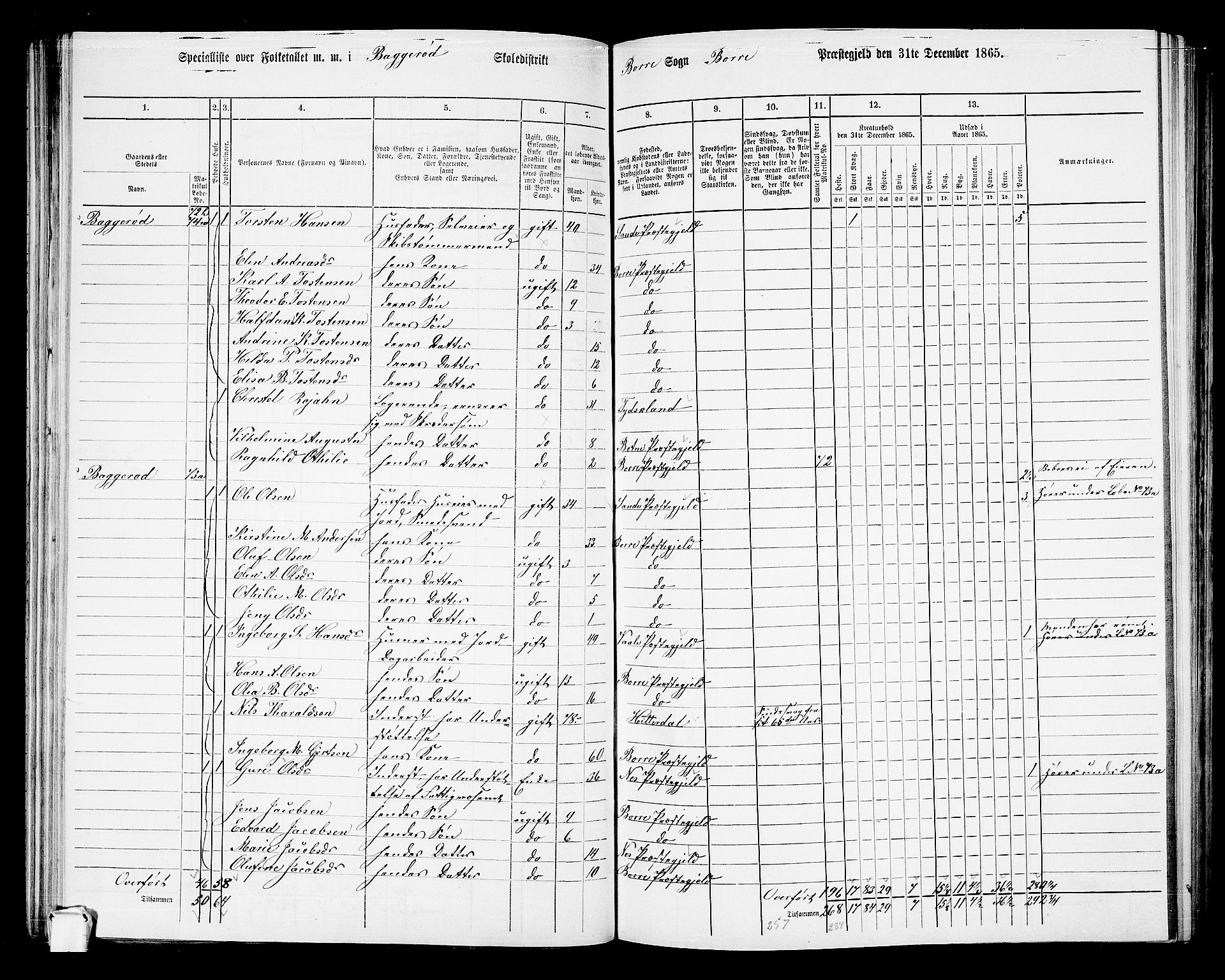 RA, 1865 census for Borre, 1865, p. 95