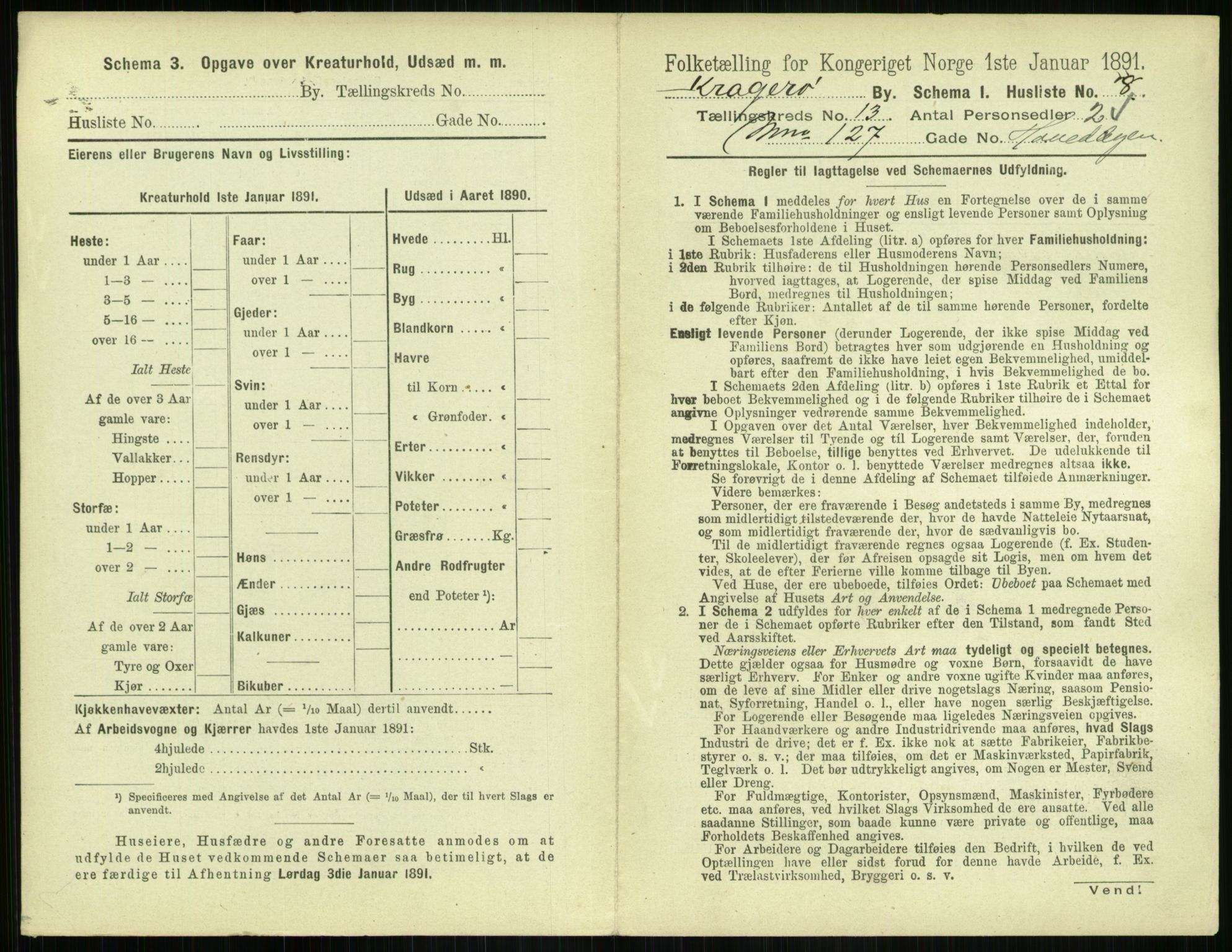 RA, 1891 census for 0801 Kragerø, 1891, p. 666