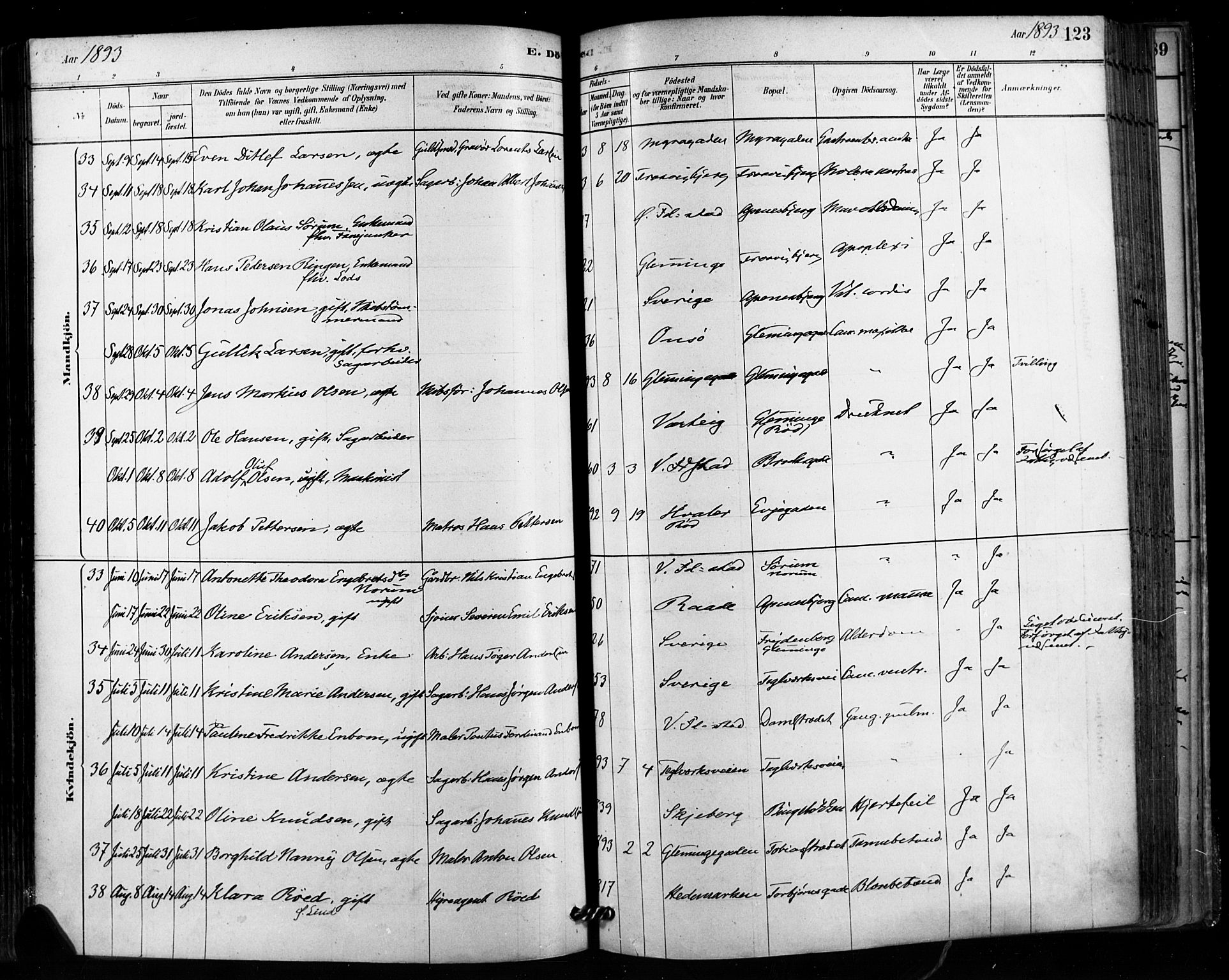 Fredrikstad domkirkes prestekontor Kirkebøker, SAO/A-10906/F/Fa/L0003: Parish register (official) no. 3, 1878-1904, p. 123