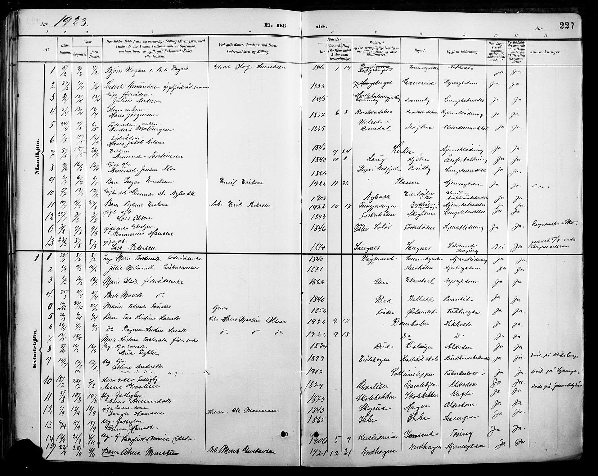 Nord-Odal prestekontor, AV/SAH-PREST-032/H/Ha/Hab/L0003: Parish register (copy) no. 3, 1895-1923, p. 227