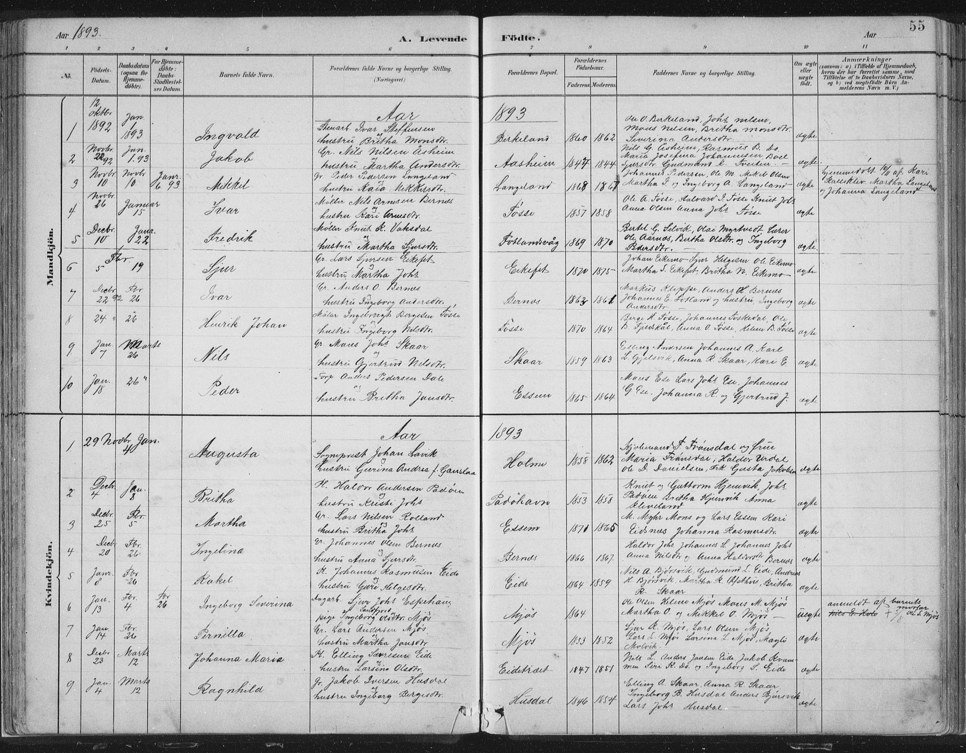 Hosanger sokneprestembete, SAB/A-75801/H/Hab: Parish register (copy) no. A 3 I, 1882-1903, p. 55