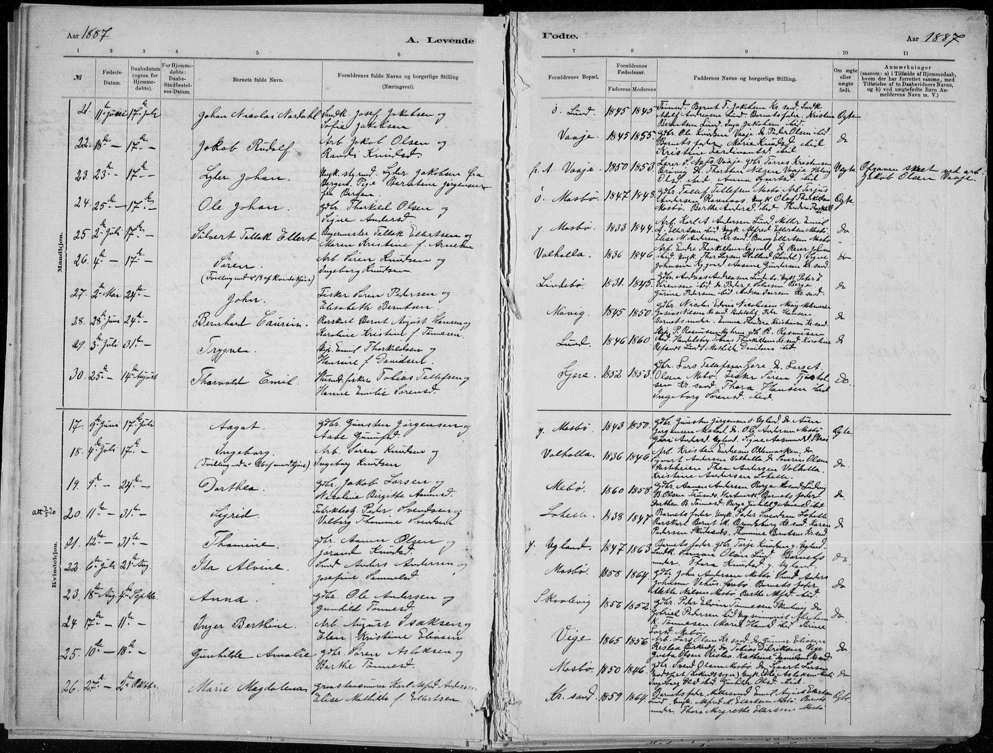 Oddernes sokneprestkontor, SAK/1111-0033/F/Fa/Faa/L0009: Parish register (official) no. A 9, 1884-1896, p. 20