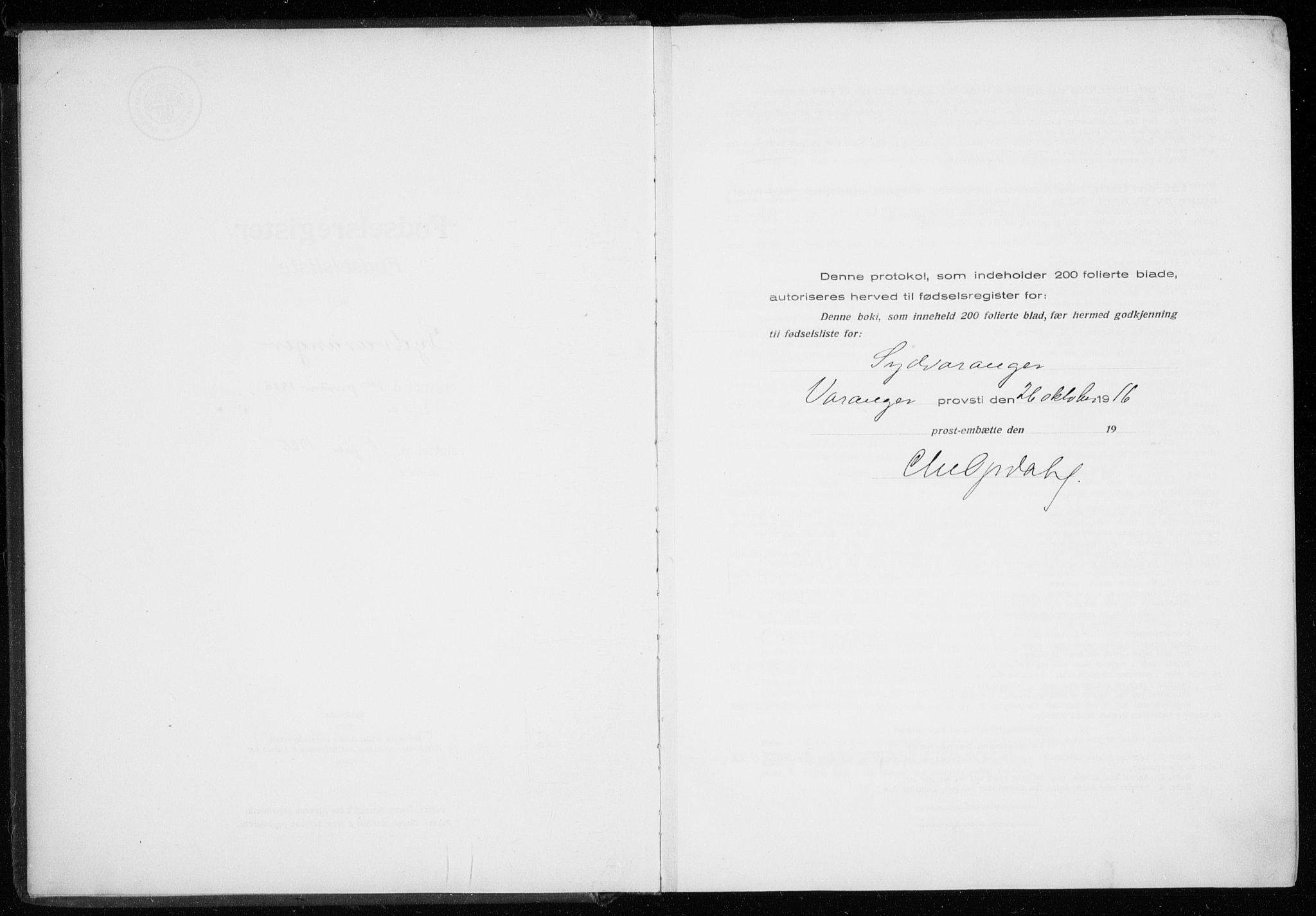 Sør-Varanger sokneprestkontor, AV/SATØ-S-1331/I/Ia/L0016: Birth register no. 16, 1915-1925