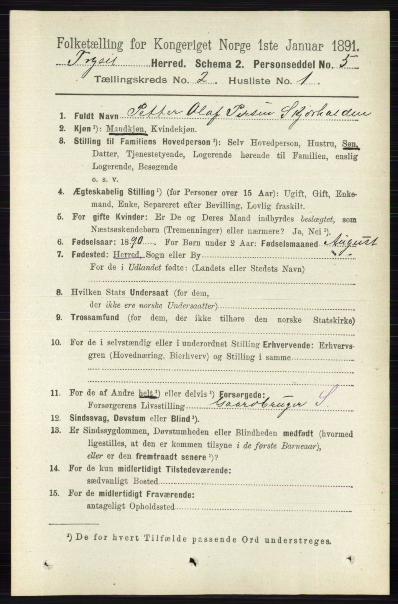 RA, 1891 census for 0428 Trysil, 1891, p. 728