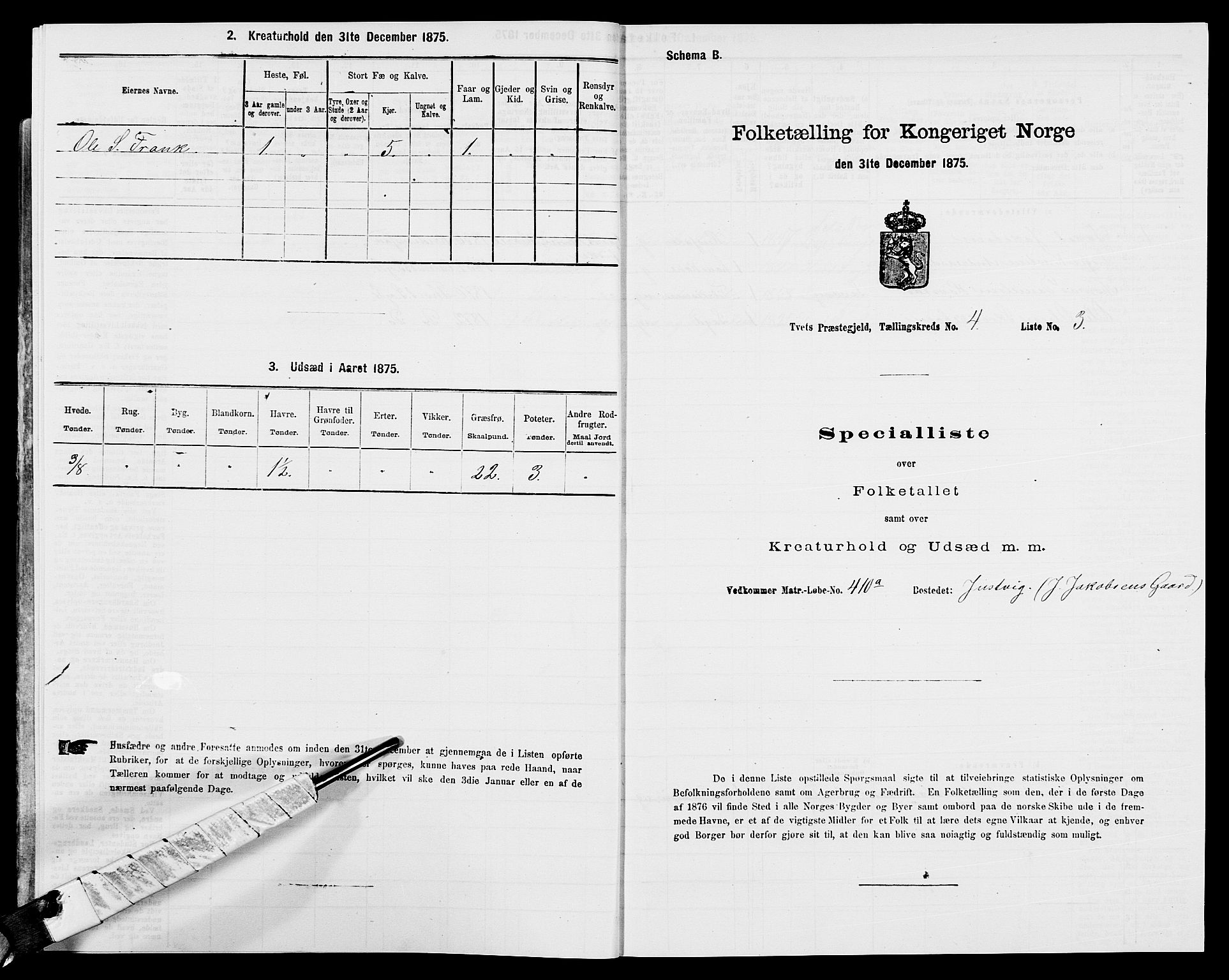 SAK, 1875 census for 1013P Tveit, 1875, p. 507