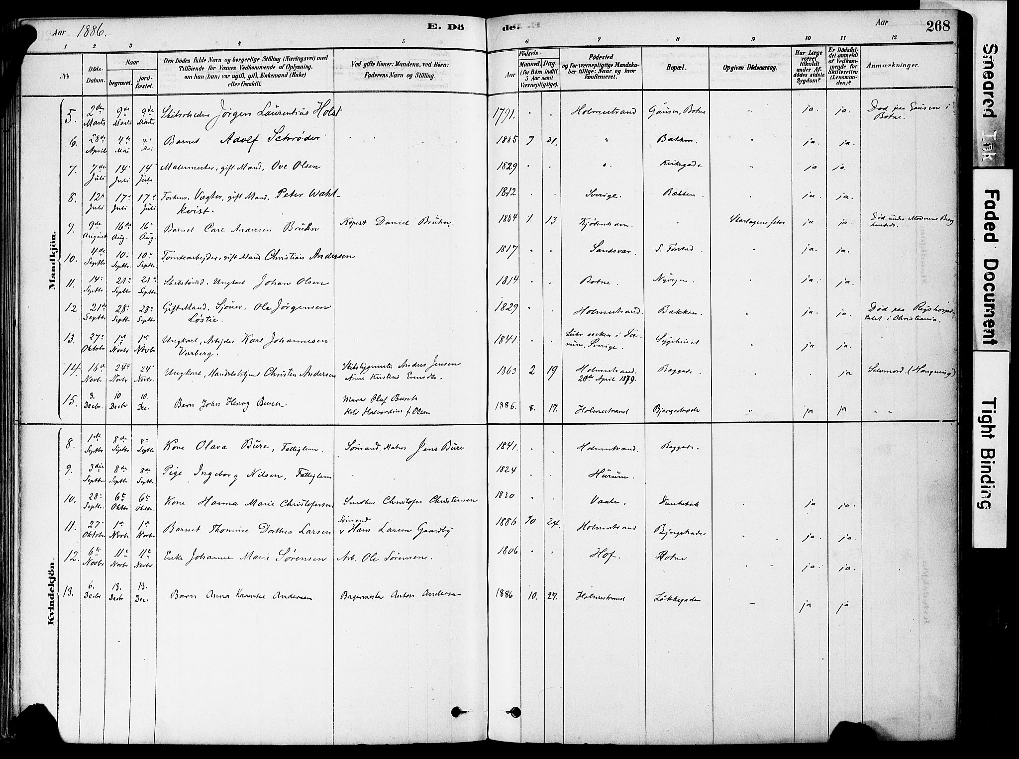 Holmestrand kirkebøker, AV/SAKO-A-346/F/Fa/L0004: Parish register (official) no. 4, 1880-1901, p. 268