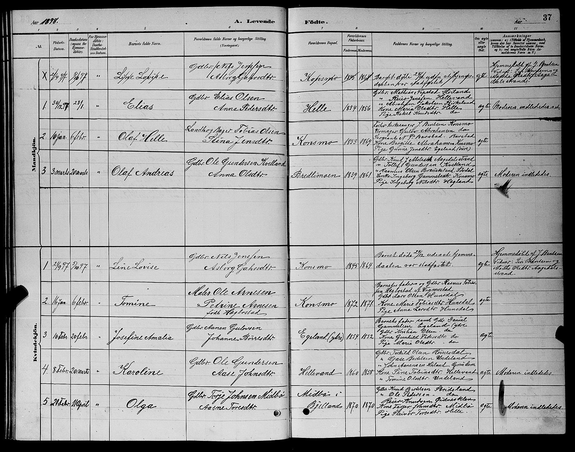 Nord-Audnedal sokneprestkontor, AV/SAK-1111-0032/F/Fb/Fba/L0003: Parish register (copy) no. B 3, 1881-1900, p. 37