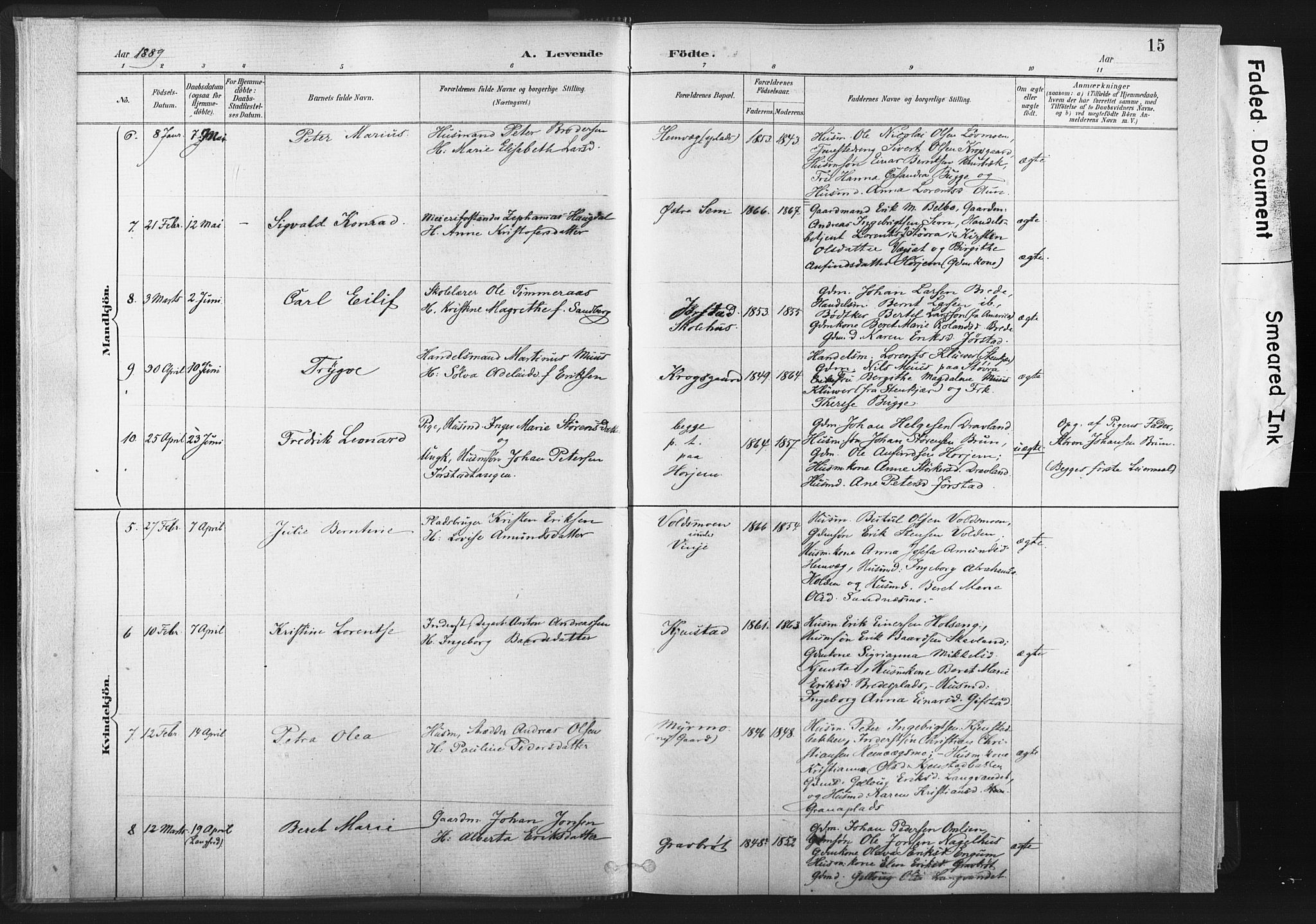 Ministerialprotokoller, klokkerbøker og fødselsregistre - Nord-Trøndelag, AV/SAT-A-1458/749/L0474: Parish register (official) no. 749A08, 1887-1903, p. 15