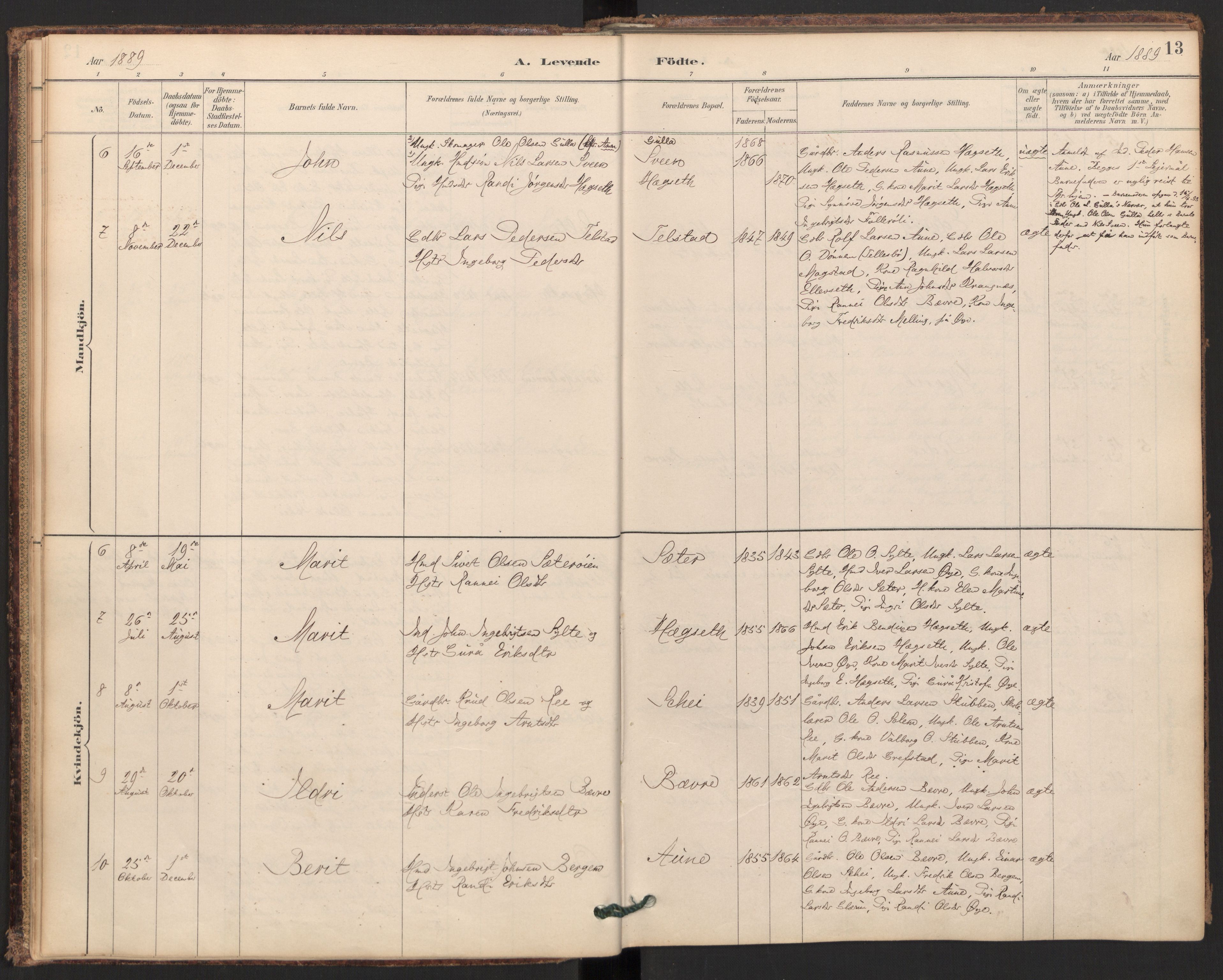 Ministerialprotokoller, klokkerbøker og fødselsregistre - Møre og Romsdal, SAT/A-1454/595/L1047: Parish register (official) no. 595A09, 1885-1900, p. 13
